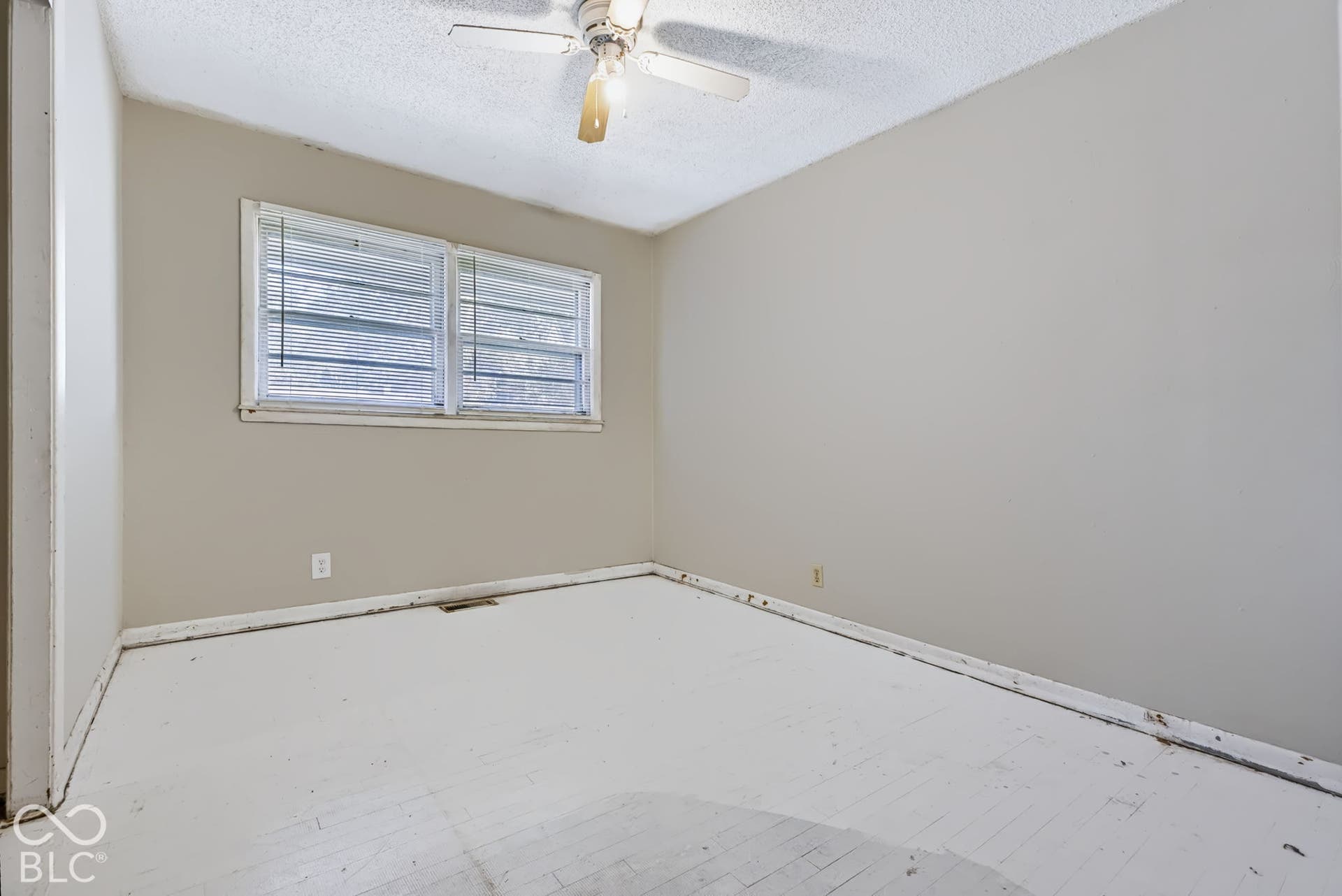 Neutral paint palette with a ceiling fan light fixture and dual windows