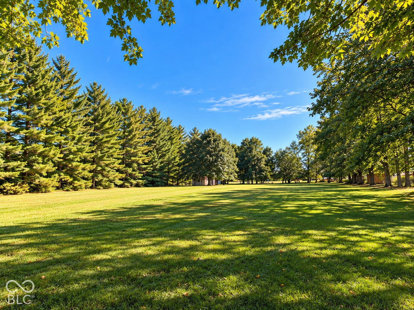 3680 S State Road 75, Coatesville, IN 46121 Expansive lawn bordered by mature evergreen and deciduous trees