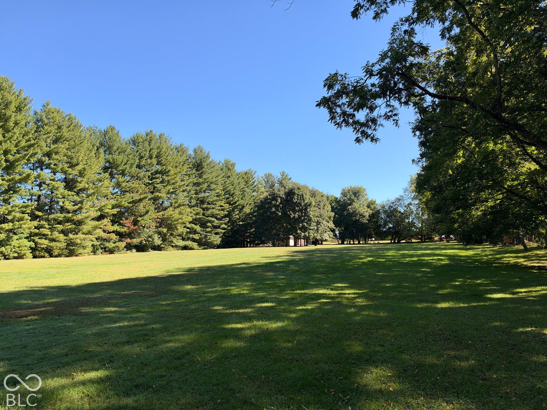 3680 S State Road 75, Coatesville, IN 46121 Expansive green lawn with mature perimeter trees