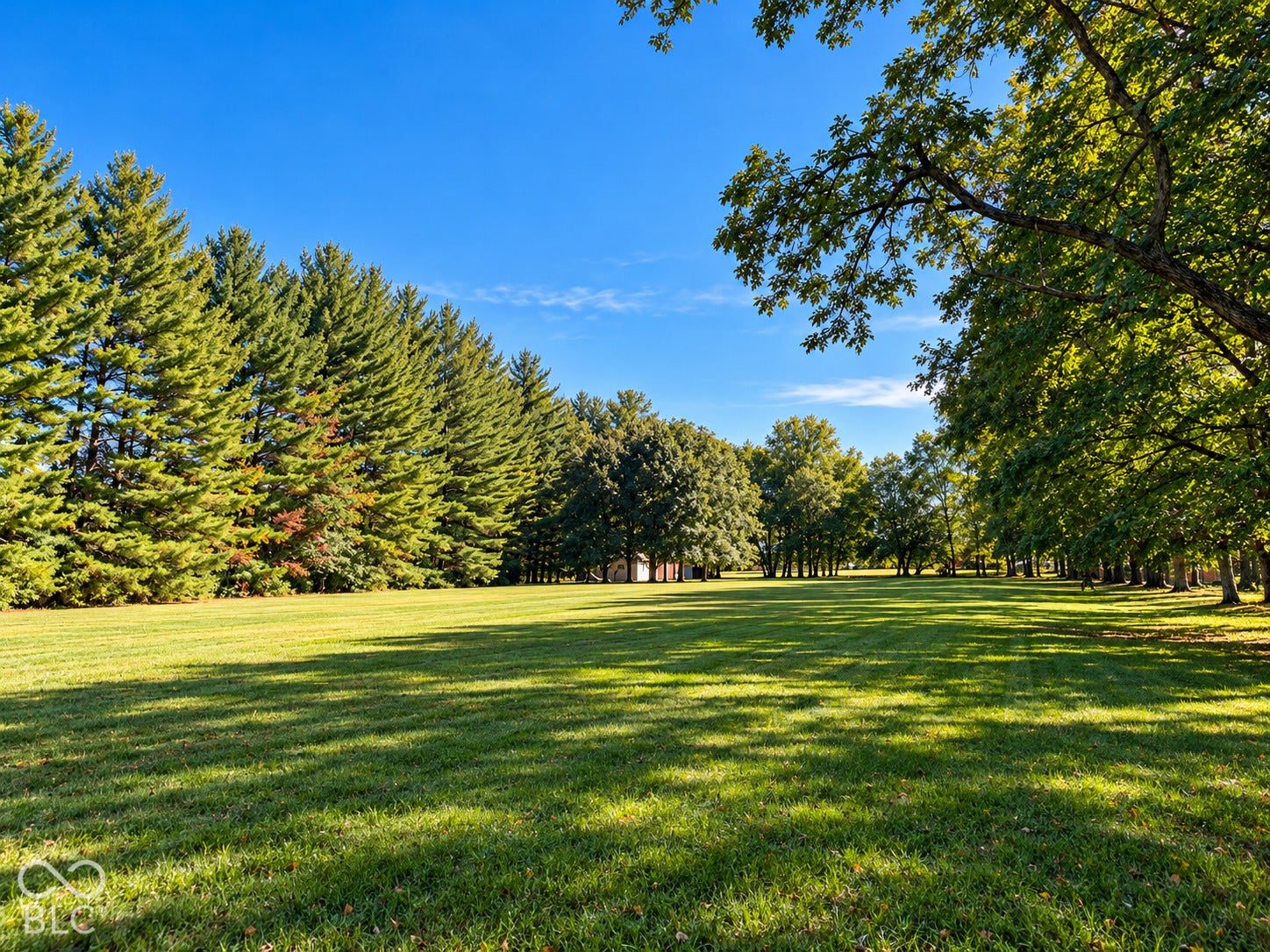 3680 S State Road 75, Coatesville, IN 46121 Expansive green lawn with a border of mature evergreen trees and additional deciduous trees