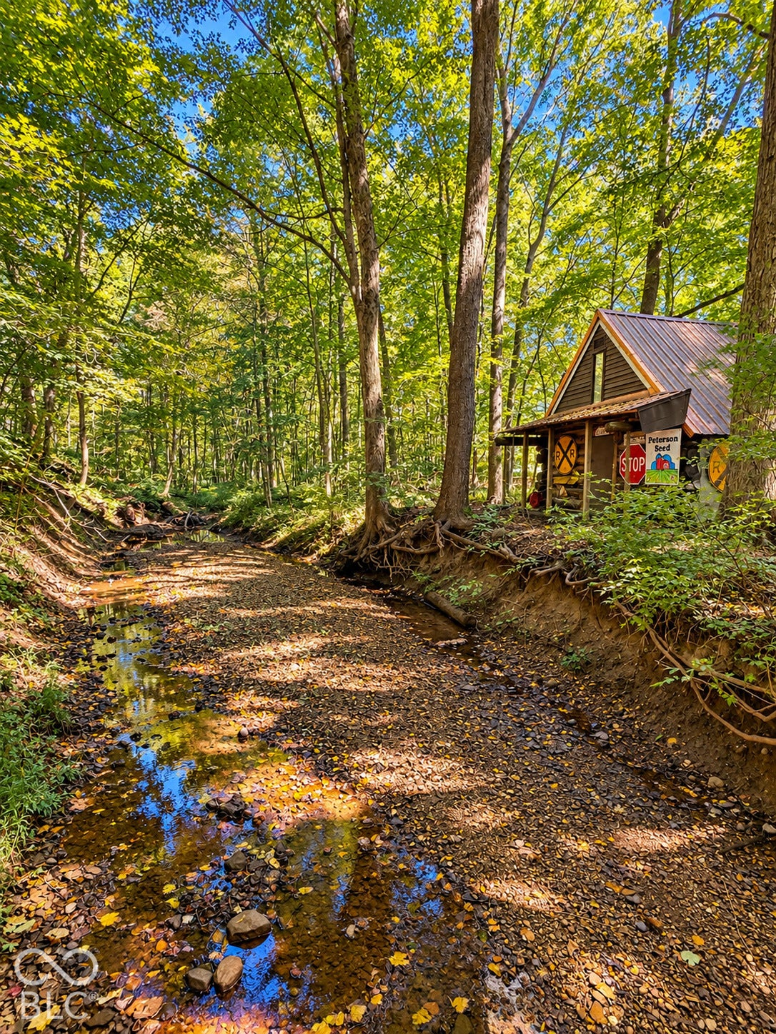 3680 S State Road 75, Coatesville, IN 46121 Wooded natural setting featuring a small stream and a rustic outbuilding with a metal roof