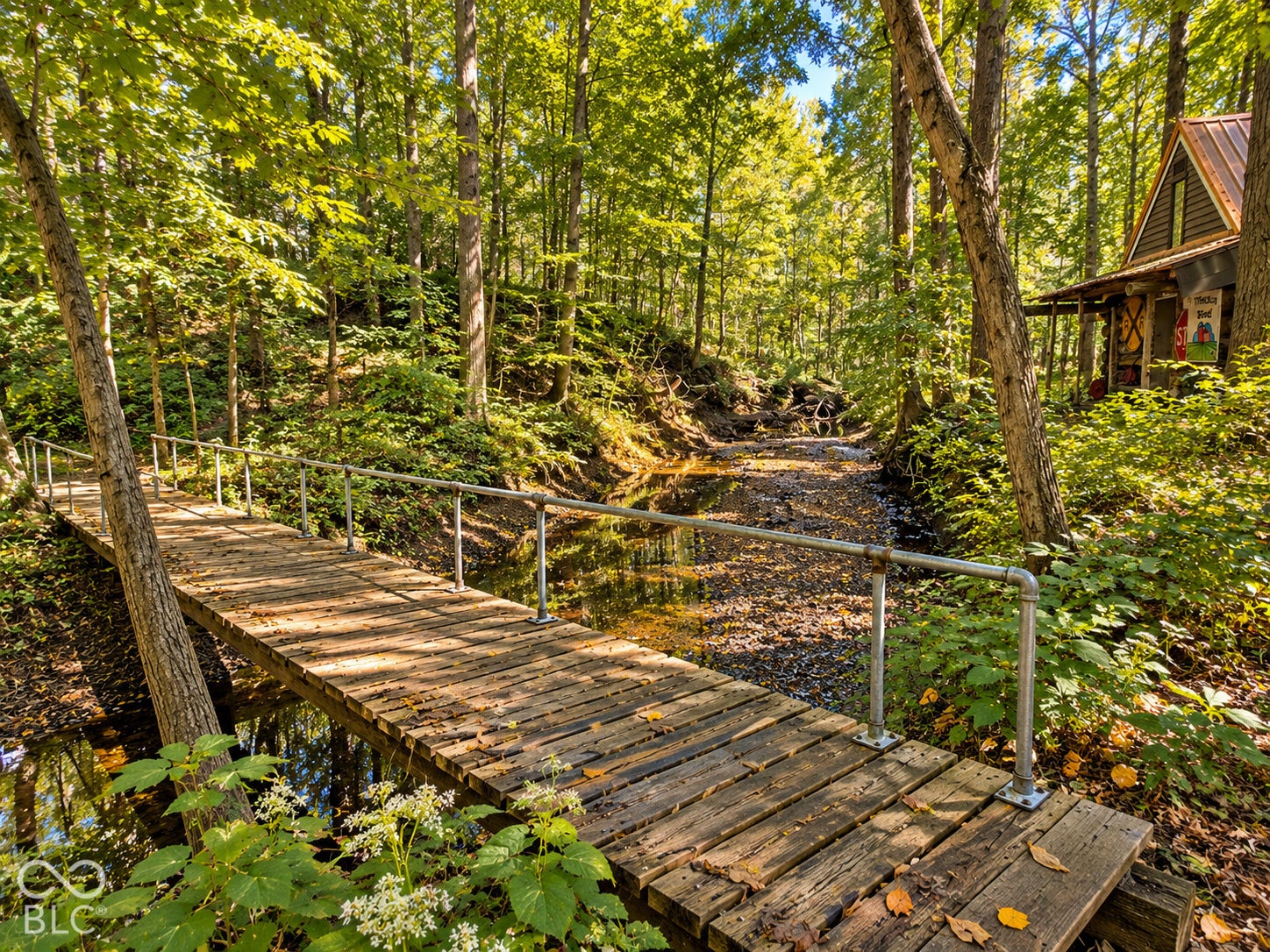 3680 S State Road 75, Coatesville, IN 46121 Wooden footbridge with metal railings over a natural stream