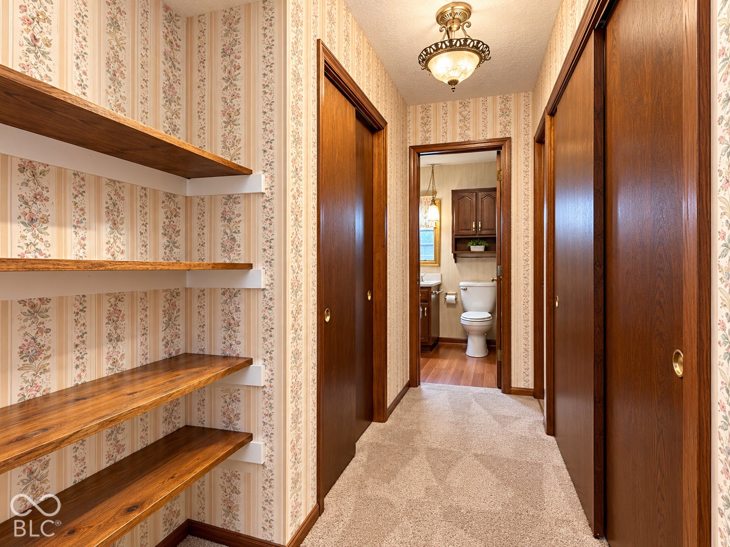 3680 S State Road 75, Coatesville, IN 46121 Corridor with carpet flooring, wood-finish doors, and a decorative ceiling light fixture