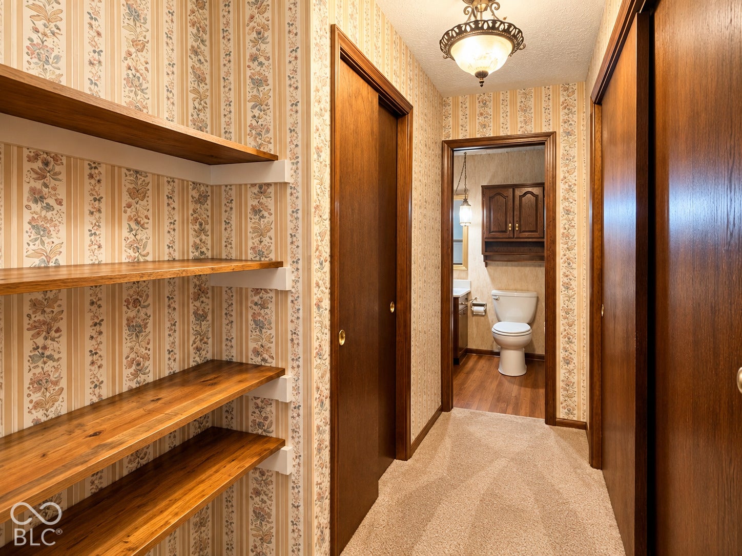 3680 S State Road 75, Coatesville, IN 46121 Built-in wood shelving, wood doors, carpeted flooring, and a decorative ceiling light fixture