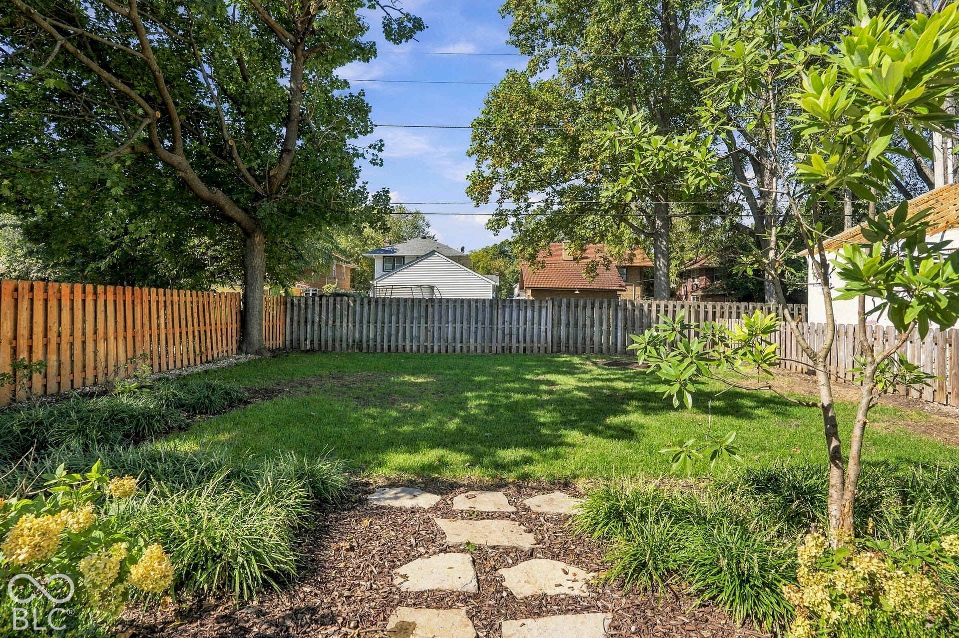 4 HACKBERRY TREES RECENTLY REMOVED