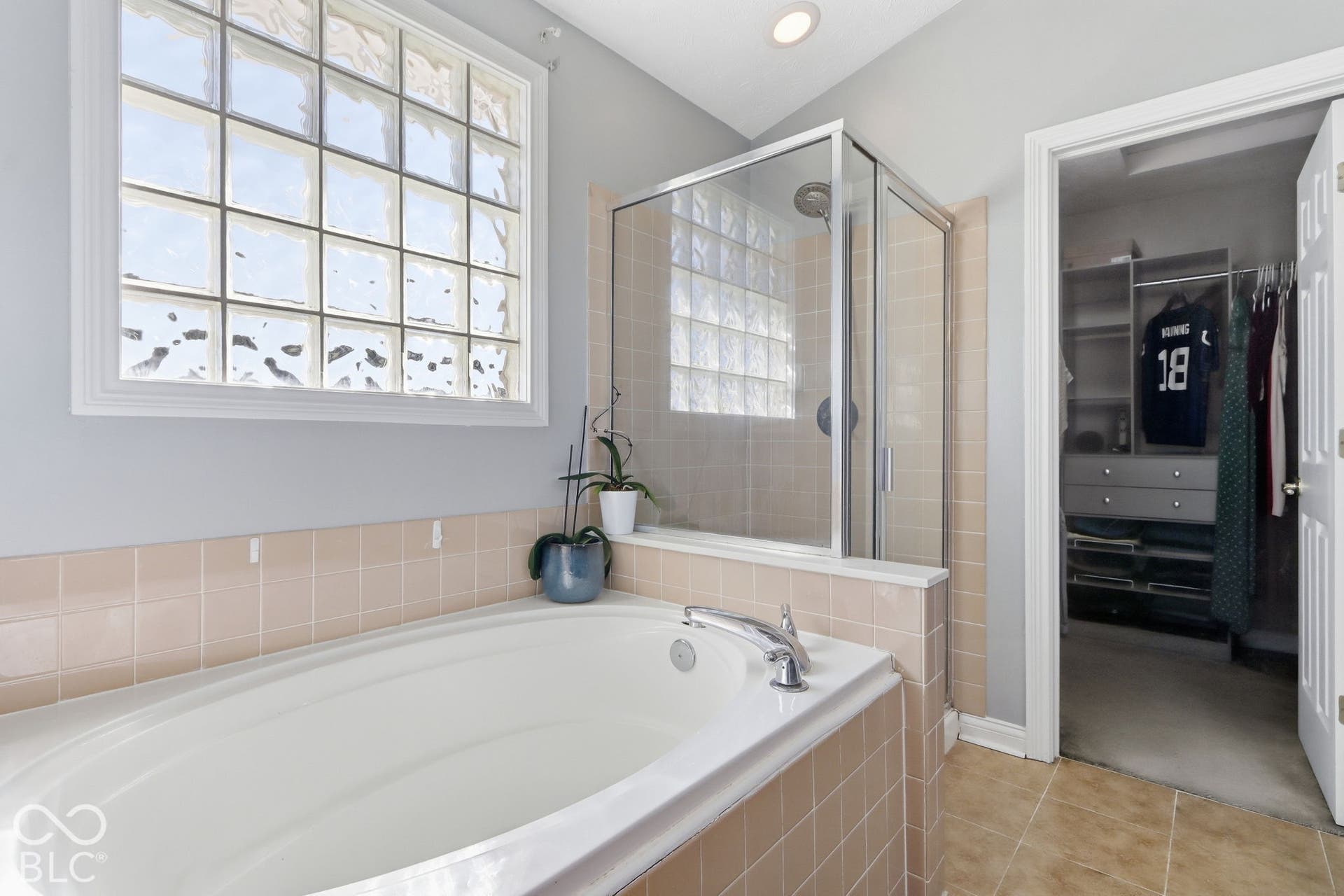 8035 Meadow Bend Lane, Indianapolis, IN 46259 Primary Bathroom. Built-in soaking tub with chrome fixtures, glass block window, and tile surround