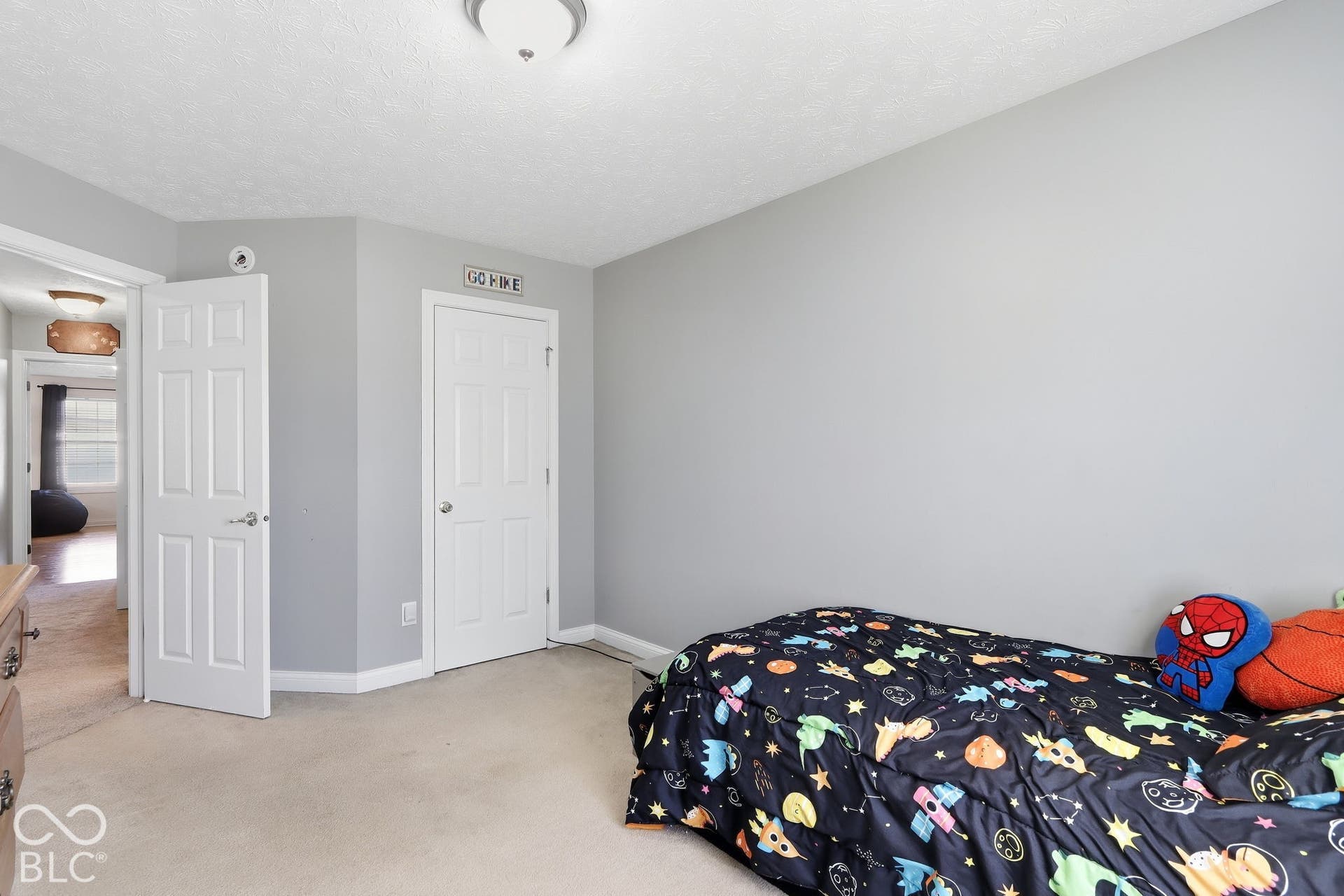 8035 Meadow Bend Lane, Indianapolis, IN 46259 Neutral tone wall paint, light-colored carpet flooring, white paneled doors, and a ceiling-mounted light fixture
