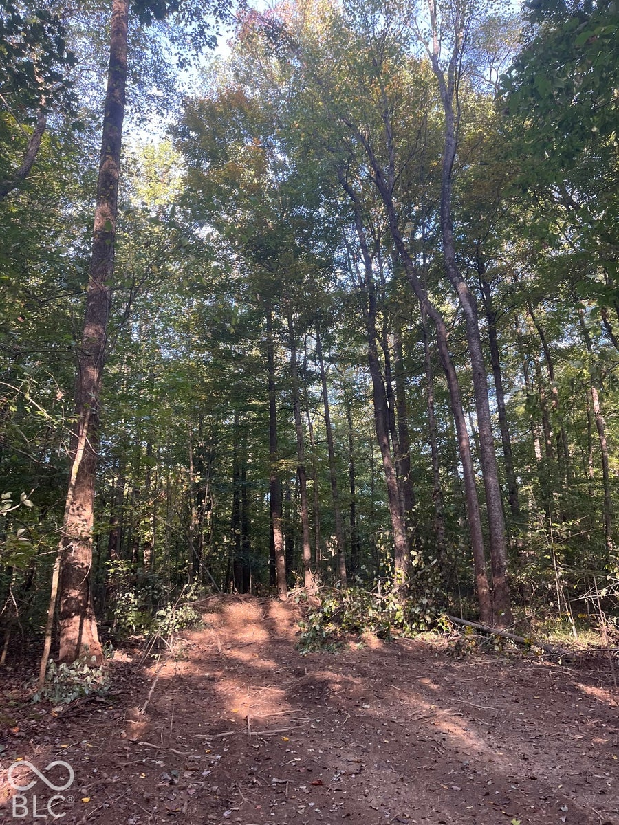Property photo for Tract 9 Sunnyside Road, Deputy, IN