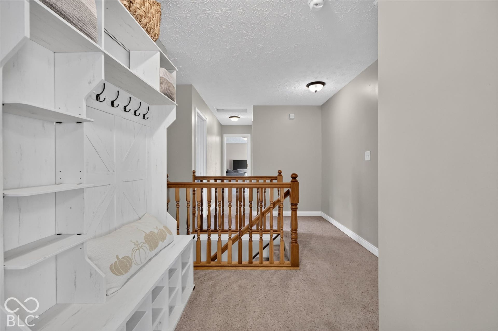 10911 Tallow Wood Lane, Indianapolis, IN 46236
