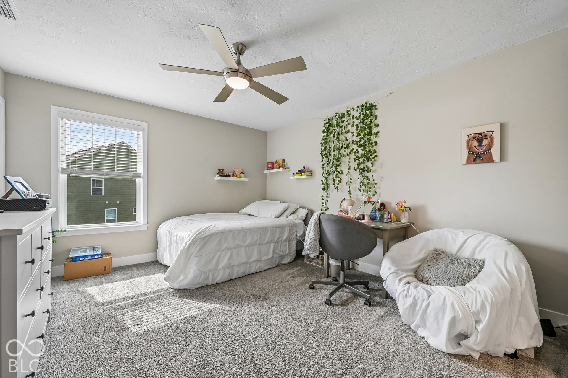 Carpeted flooring, a window with blinds, ceiling fan with integrated lighting, and wall-mounted shelving