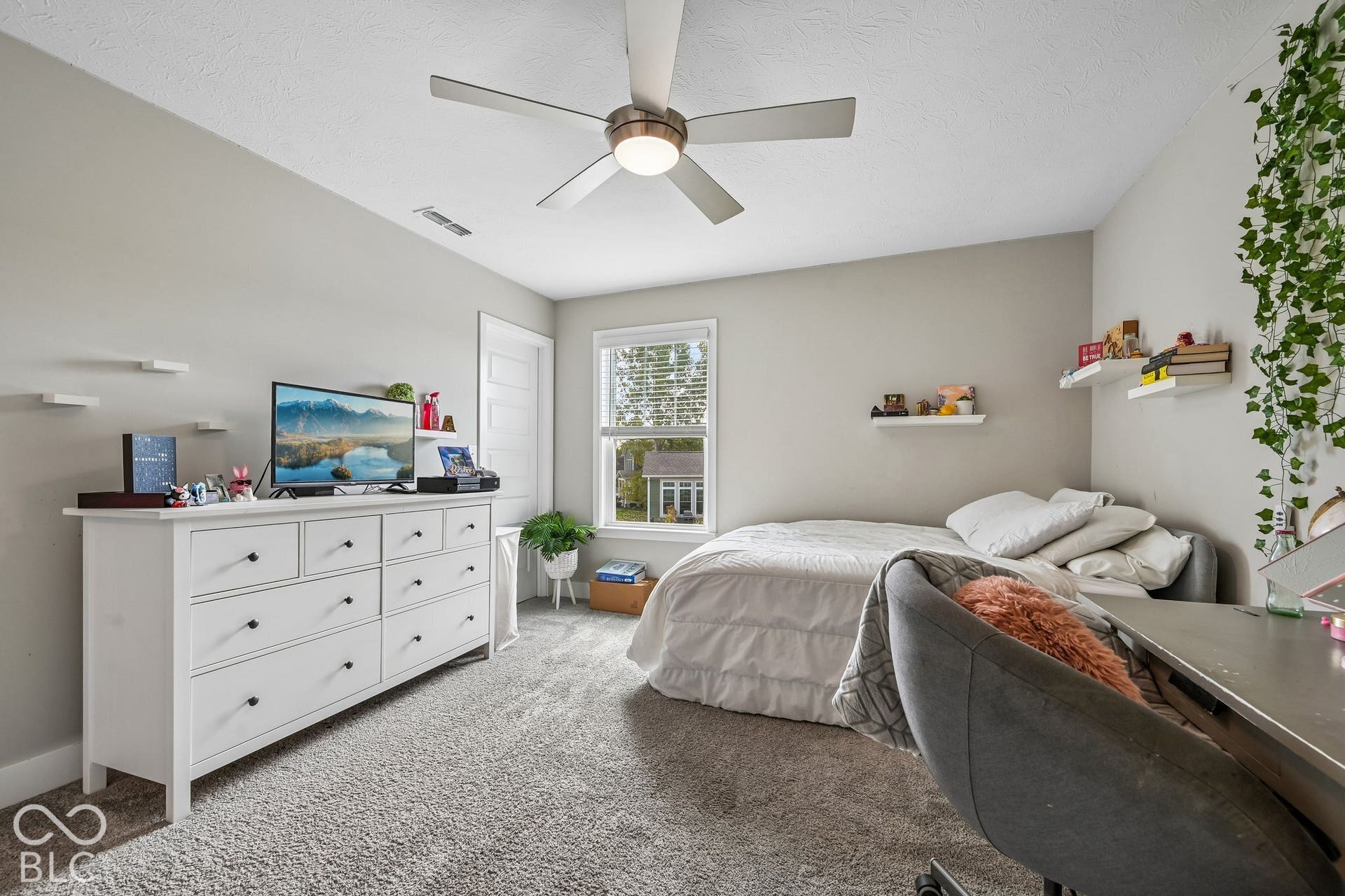 Neutral wall color, grey carpeting, ceiling fan with light fixture, window with blinds, and white interior door