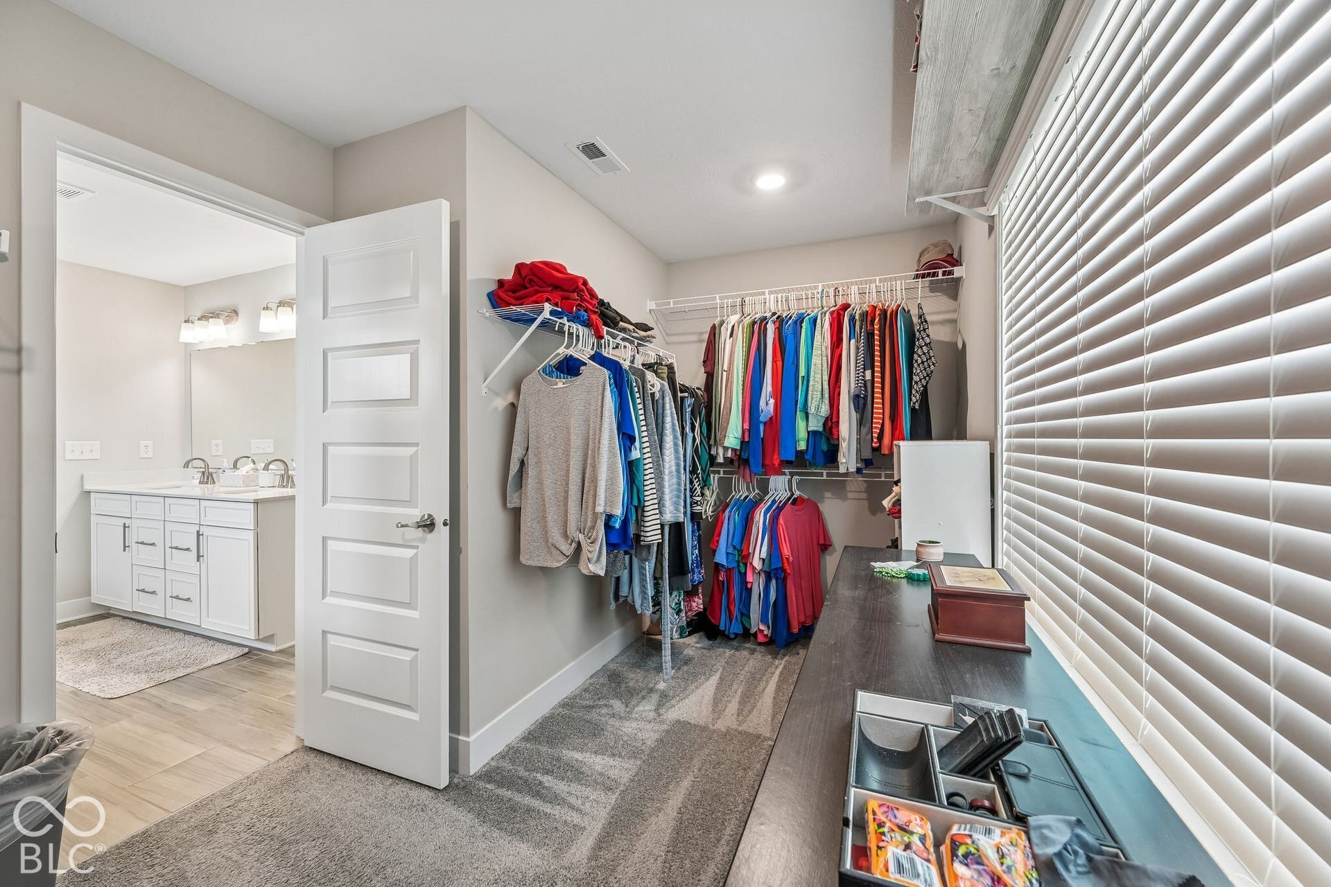 Open closet with carpet flooring, direct access to a bathroom featuring a double vanity with white cabinetry, and wood-finish flooring