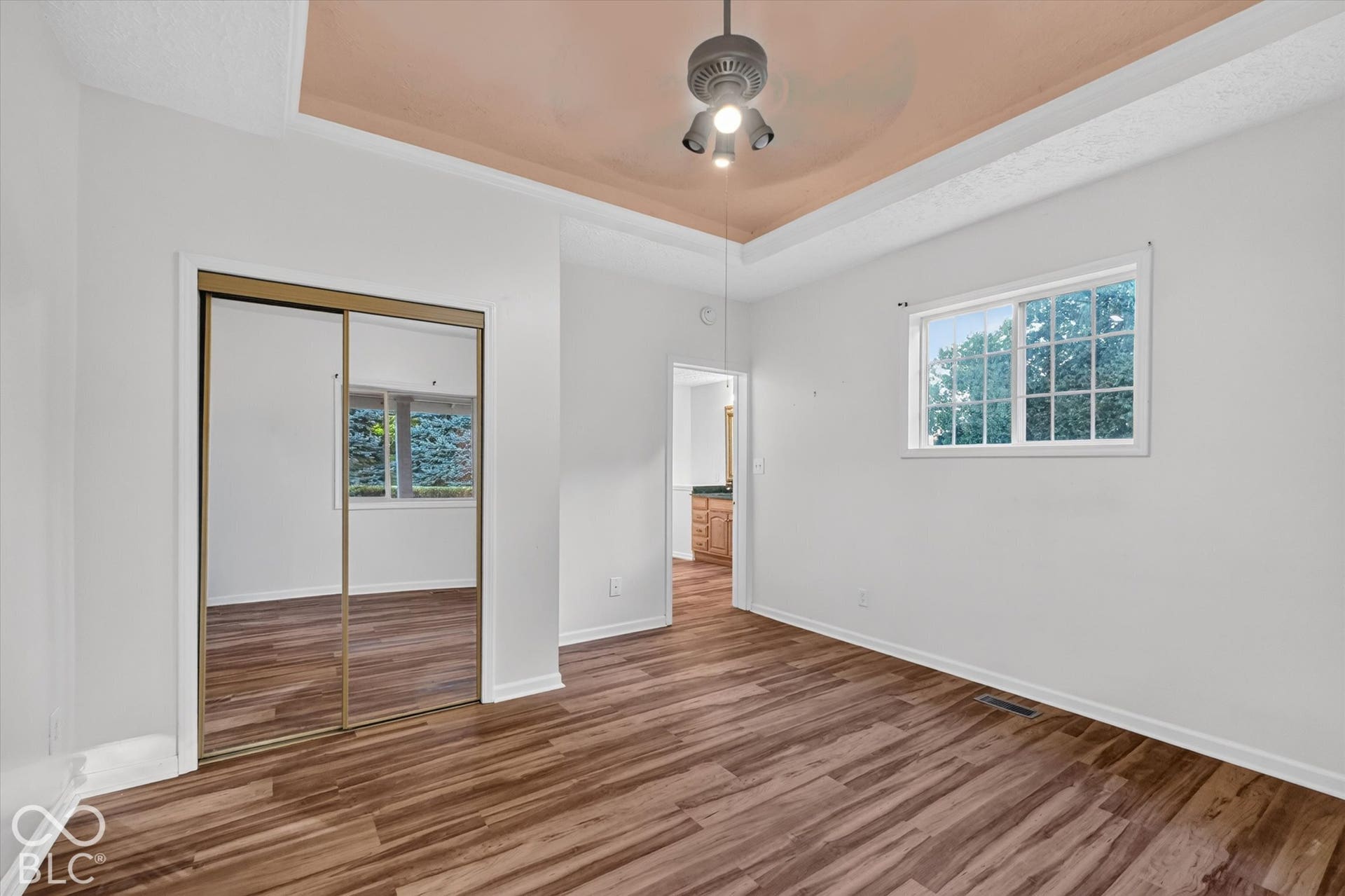 8404 Union Chapel Road, Indianapolis, IN 46240 Recessed tray ceiling with ceiling fan, LVP flooring, mirrored closet doors, and a window with white trim
