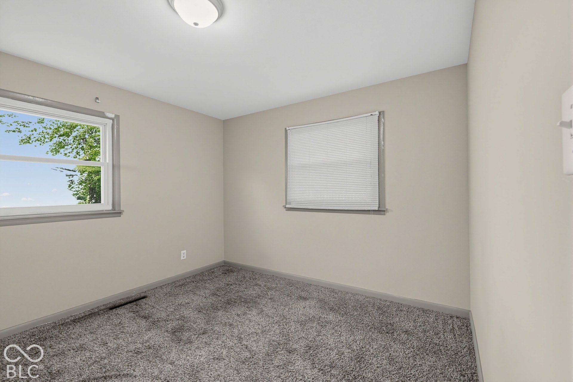Neutral tone wall paint, flush mount ceiling light fixture, grey carpet flooring, and two windows
