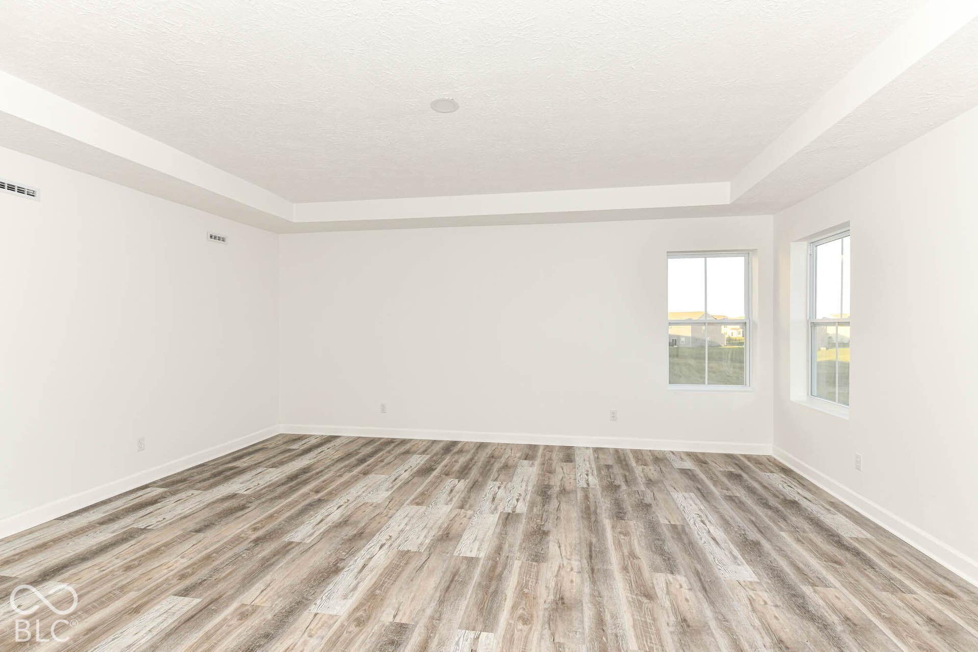 Spacious room with wood-finish flooring, two windows, and a tray ceiling