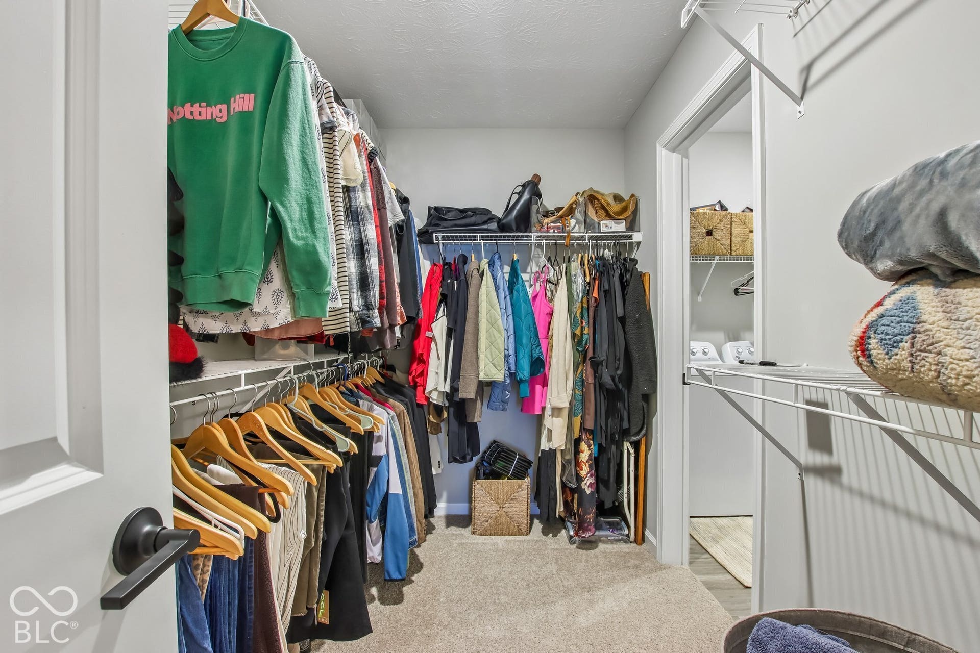 Walk-in closet featuring carpet flooring, white walls, and built-in wire shelving