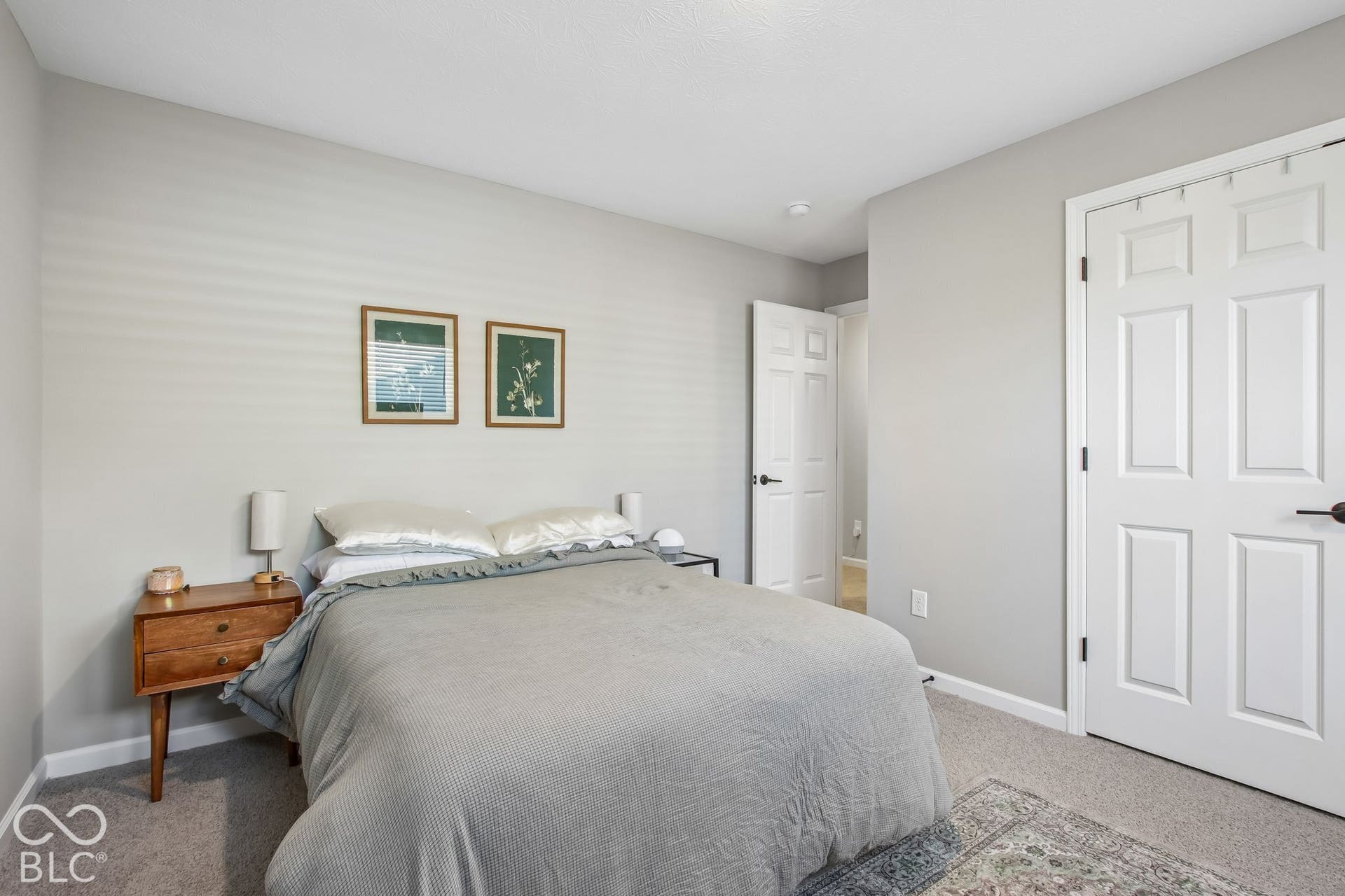 Light gray wall finish, white trim, paneled interior doors, and neutral carpet flooring