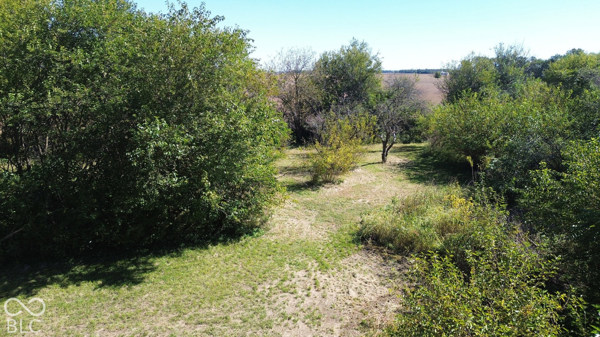 Lightly wooded area at back of lot