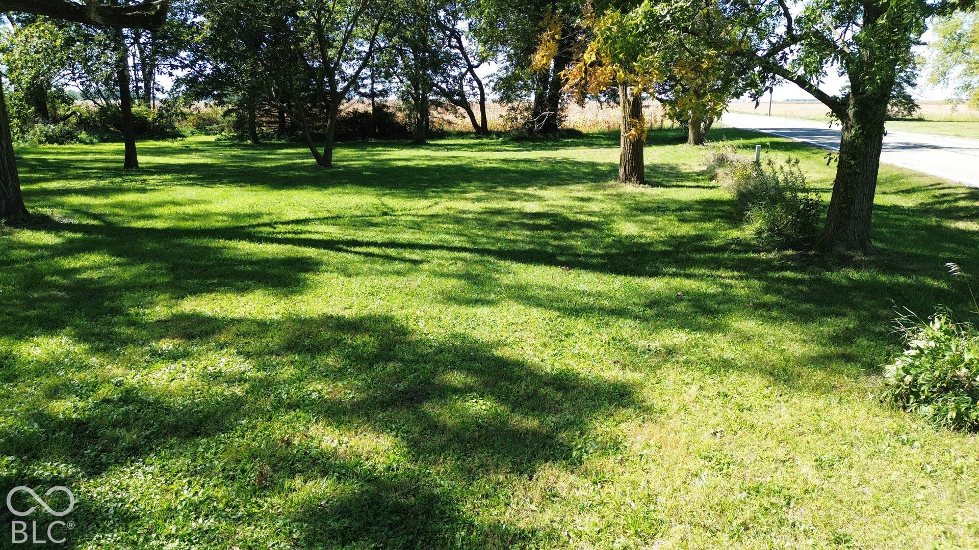 Lightly wooded area at back of lot