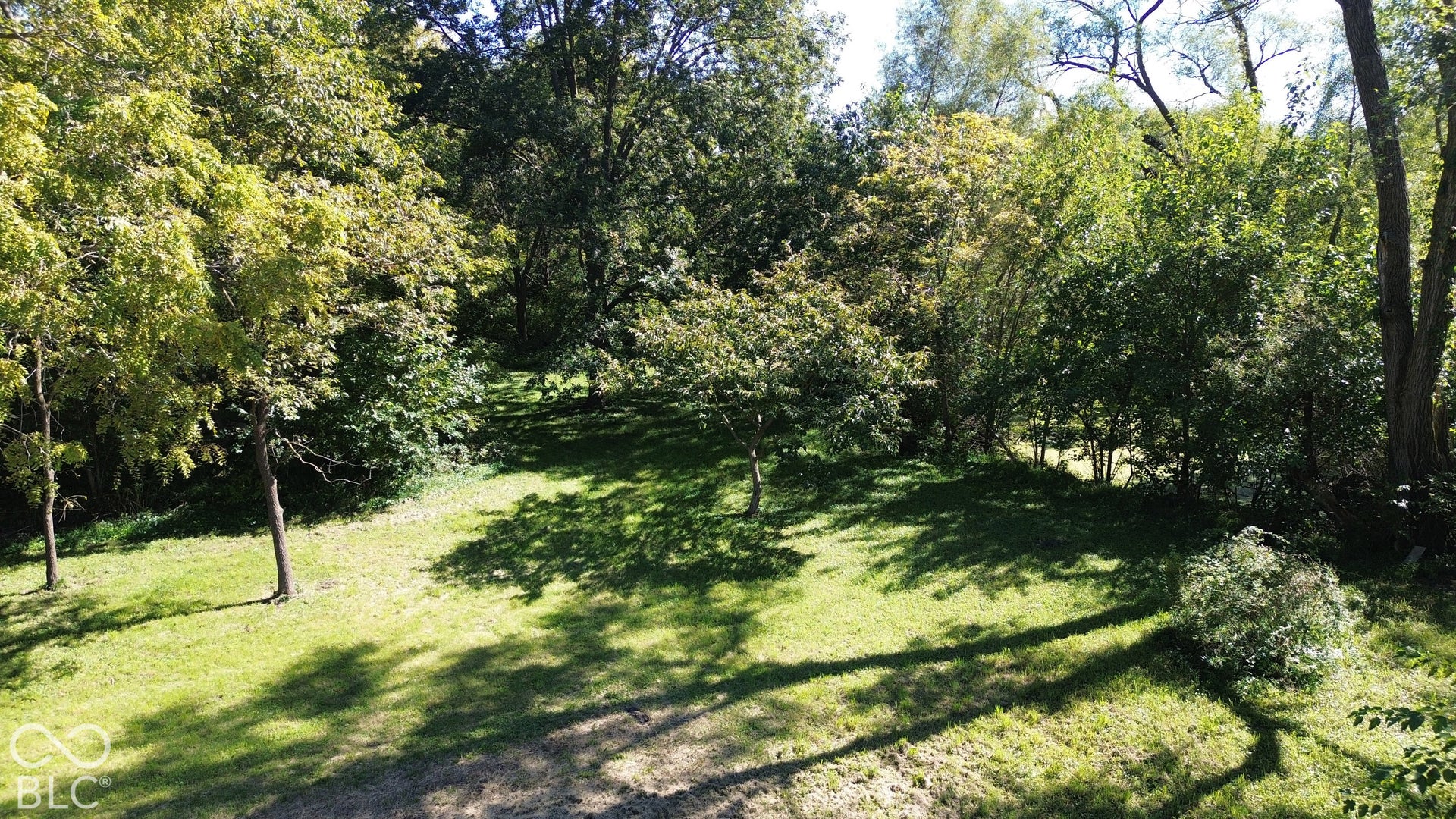Lightly wooded area at back of lot