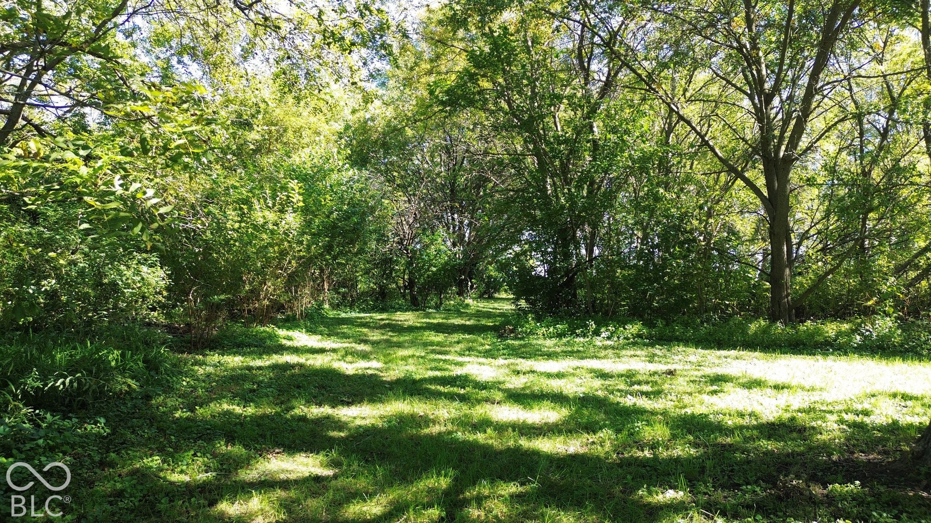 Lightly wooded area at back of lot