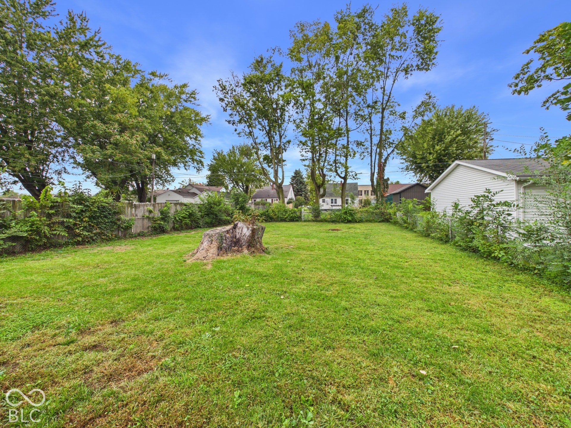 Expansive green space featuring a prominent tree stump, mature trees, and perimeter fencing
