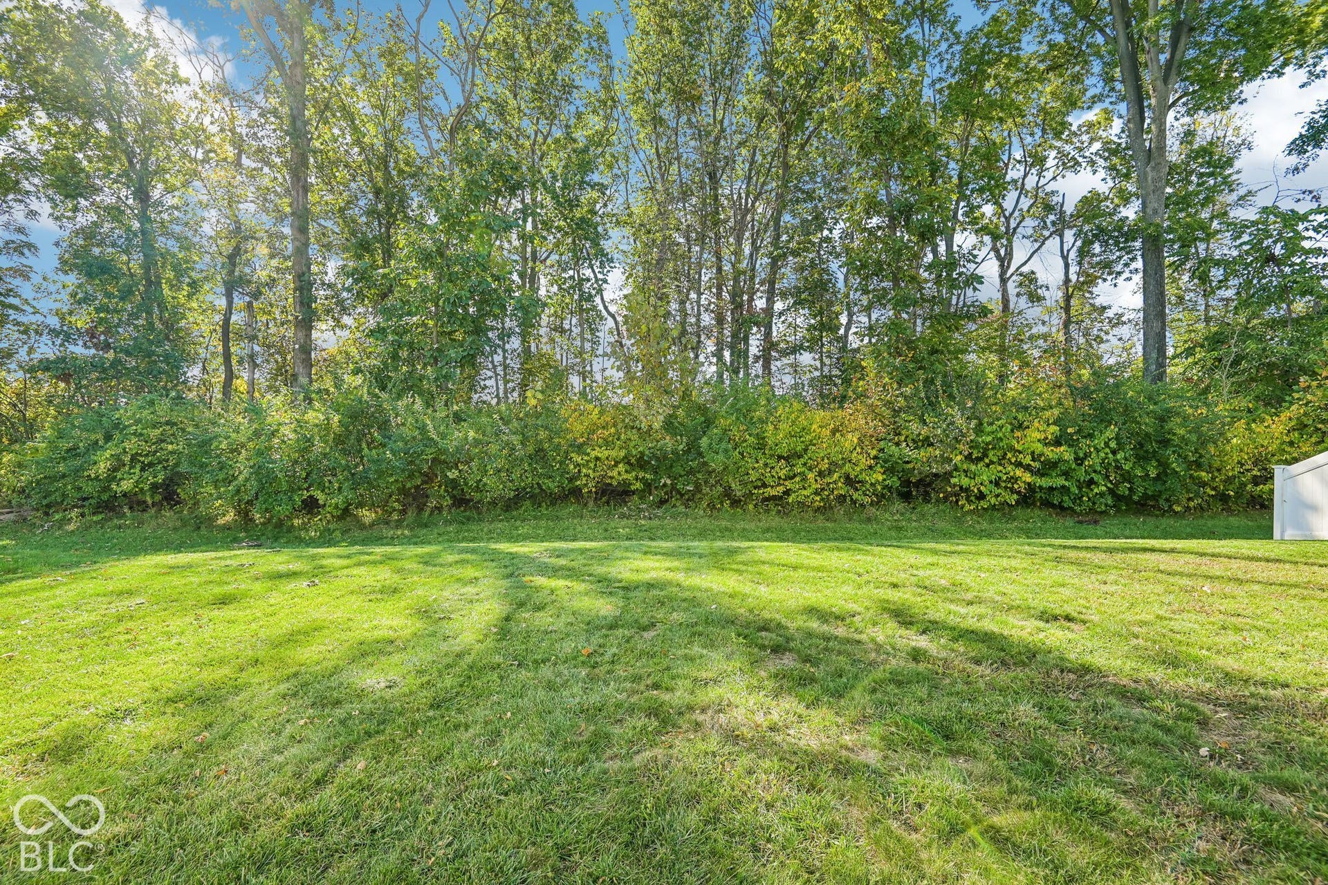 8591 Hollyhock Grove, Avon, IN 46123