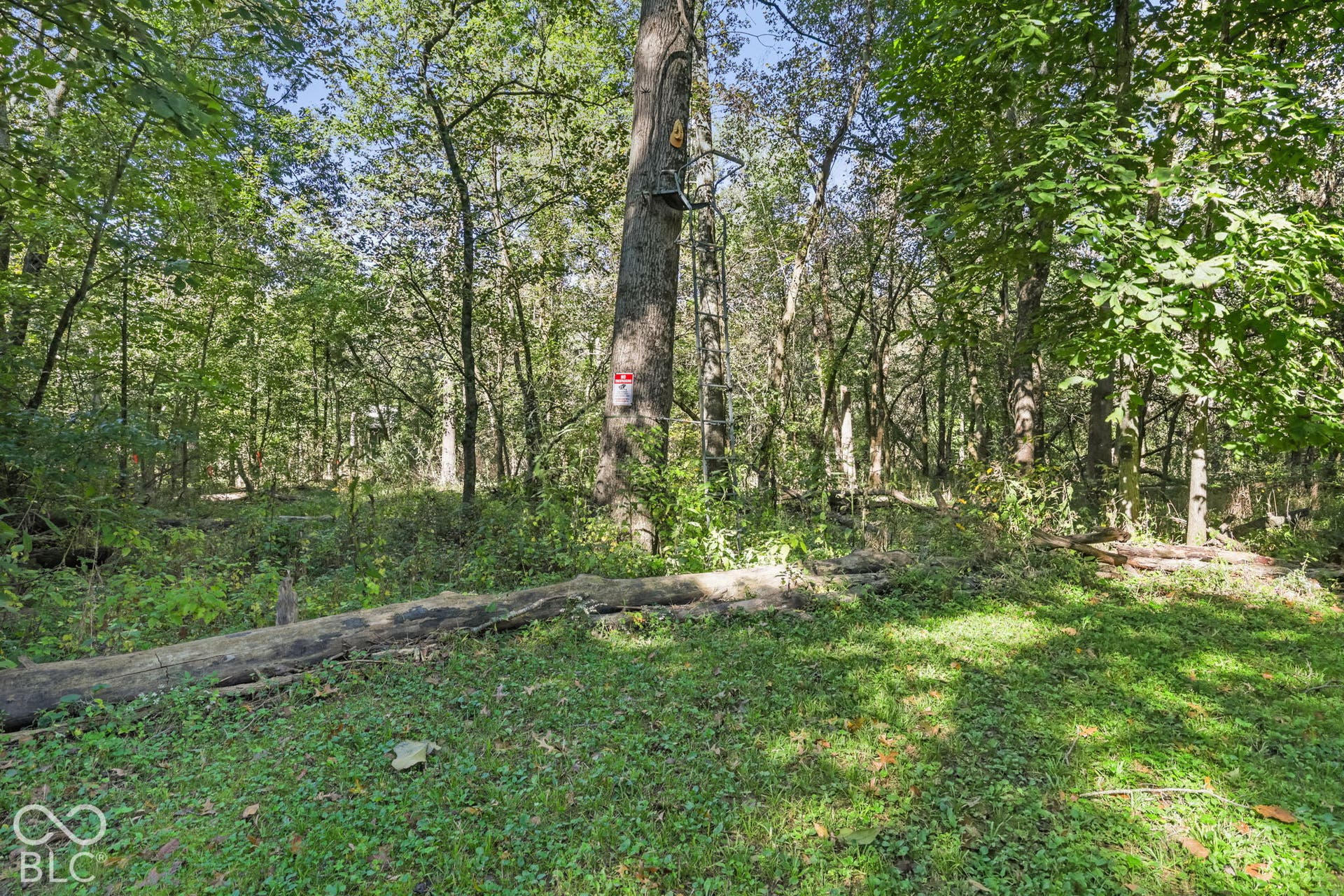 2850 Quincy, Quincy, IN 47456