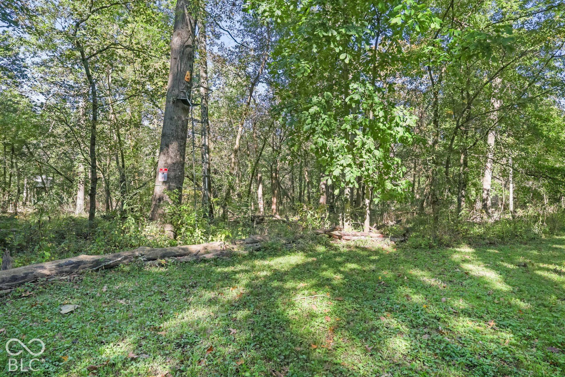 2850 Quincy, Quincy, IN 47456