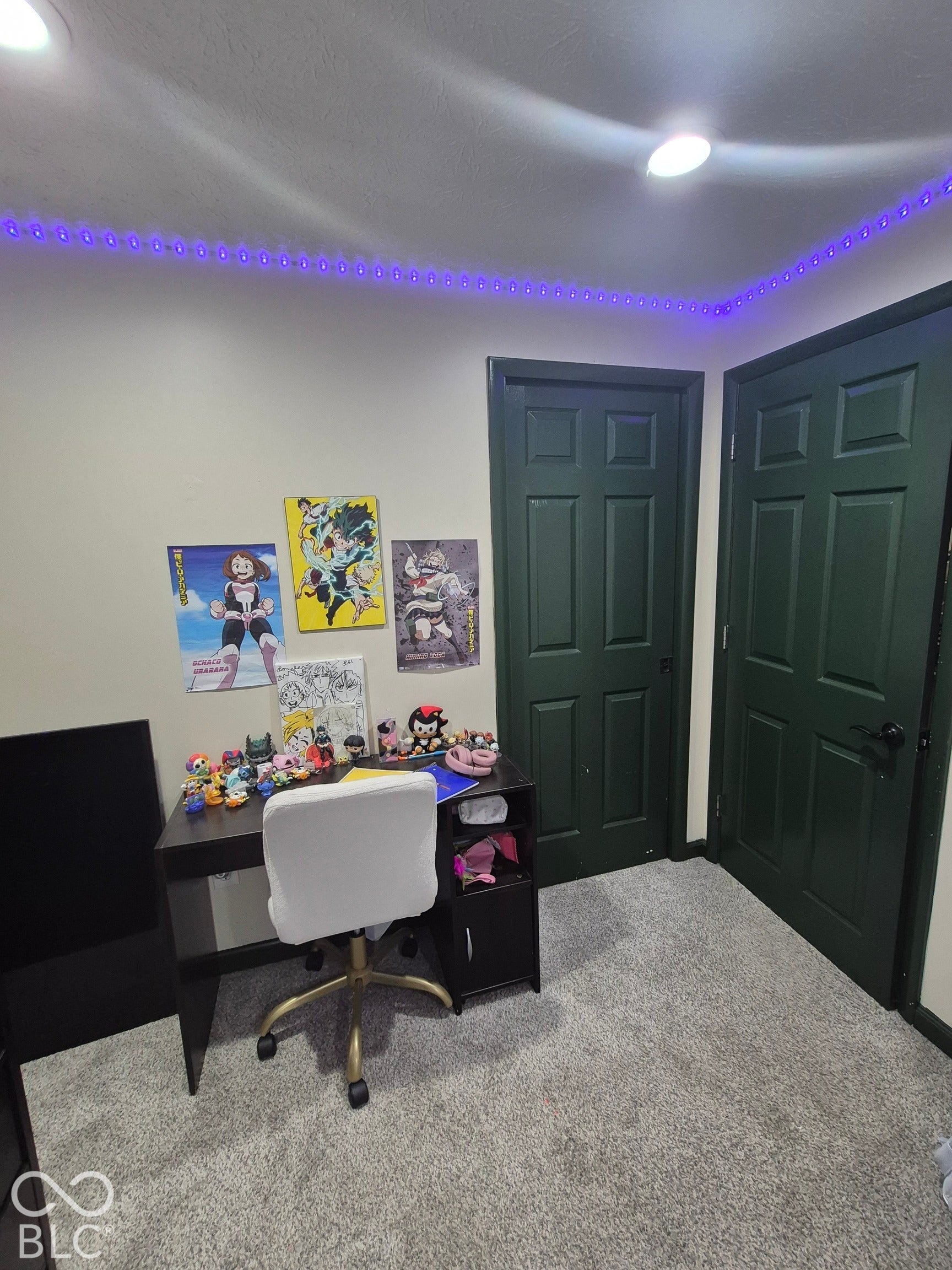 Recessed ceiling lighting, wall-mounted accent lighting, two panel doors, and gray carpet