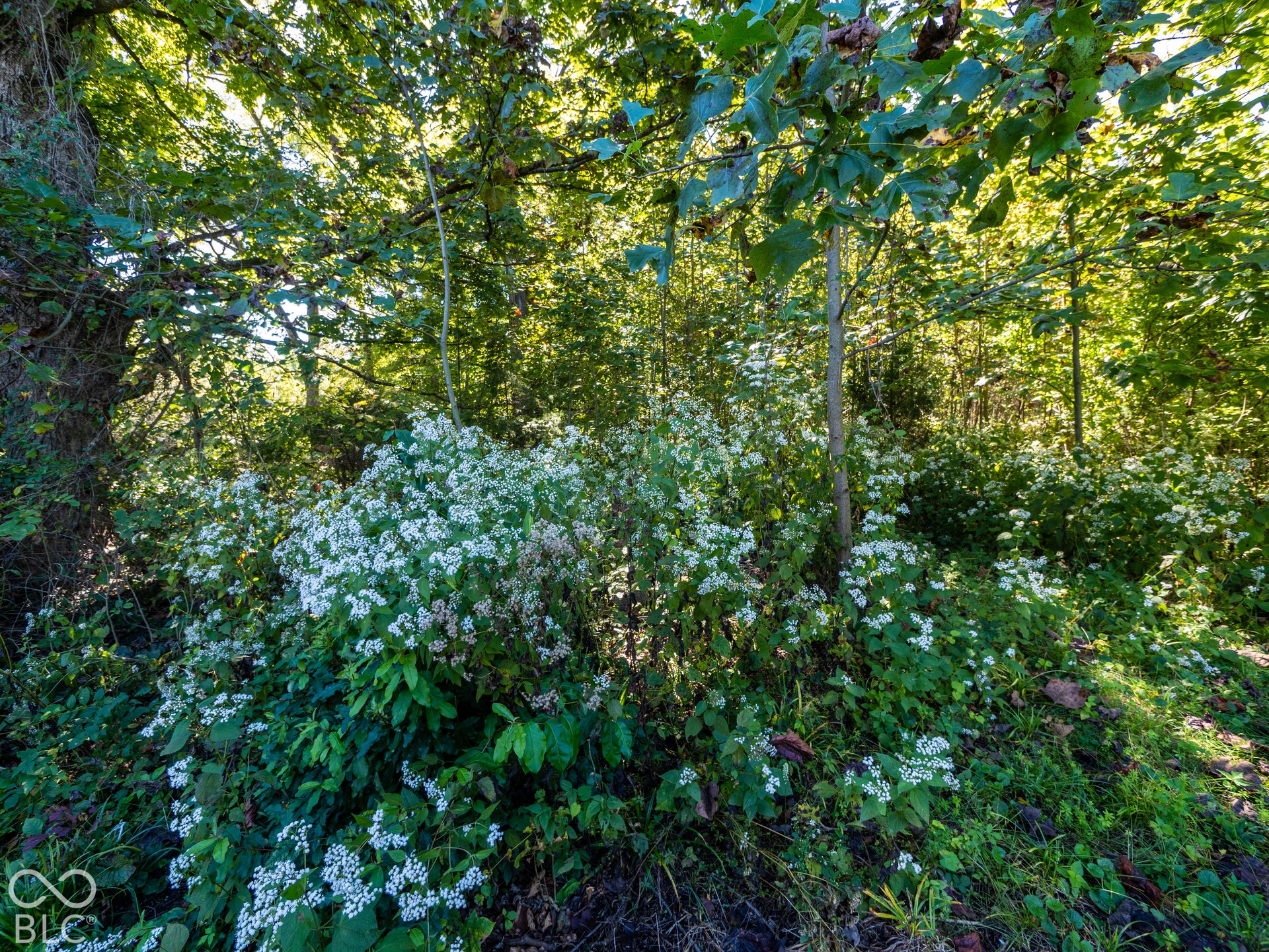5961 Flowing Well Road, Poland, IN 47868