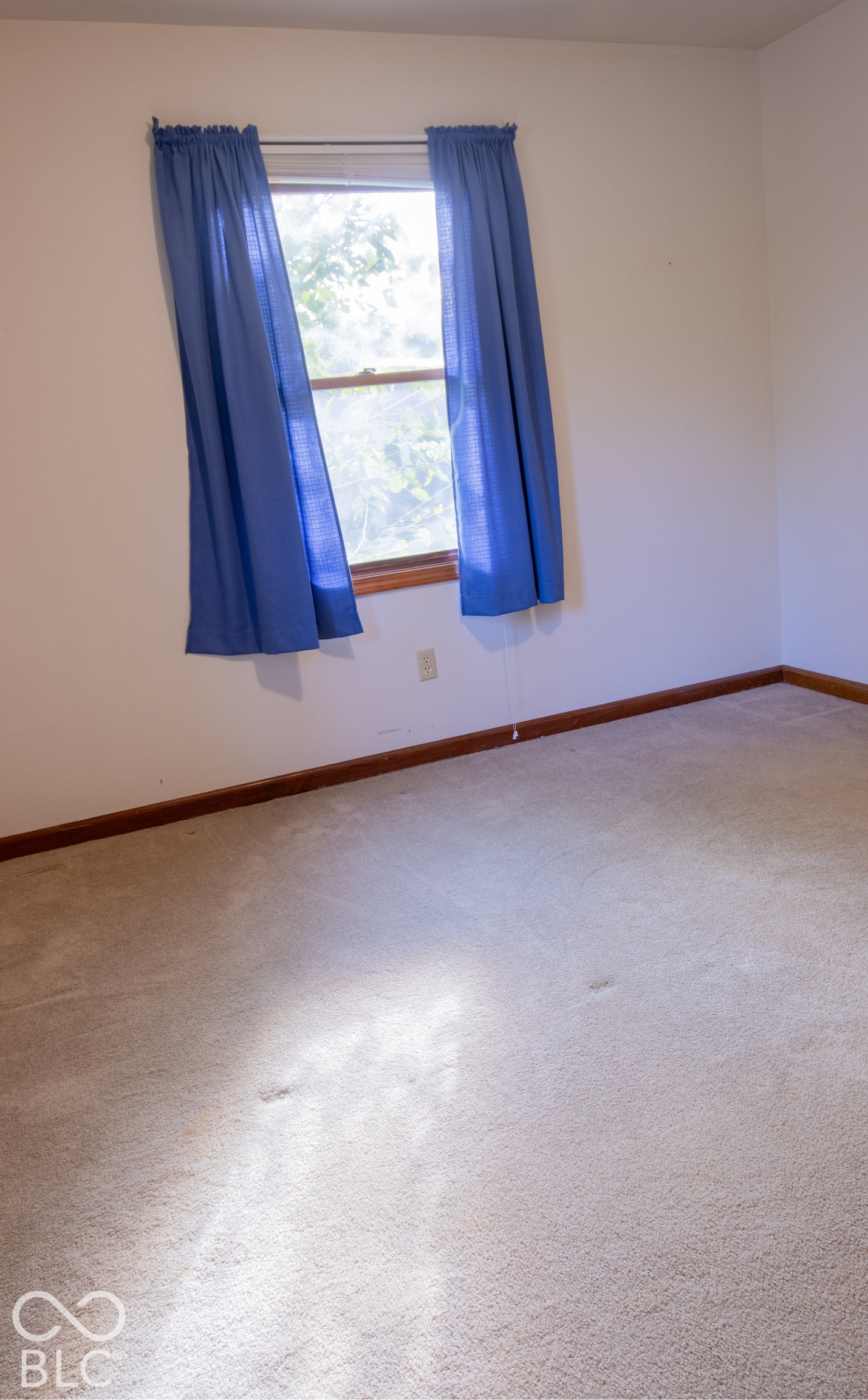 307 E North Street, Westfield, IN 46074