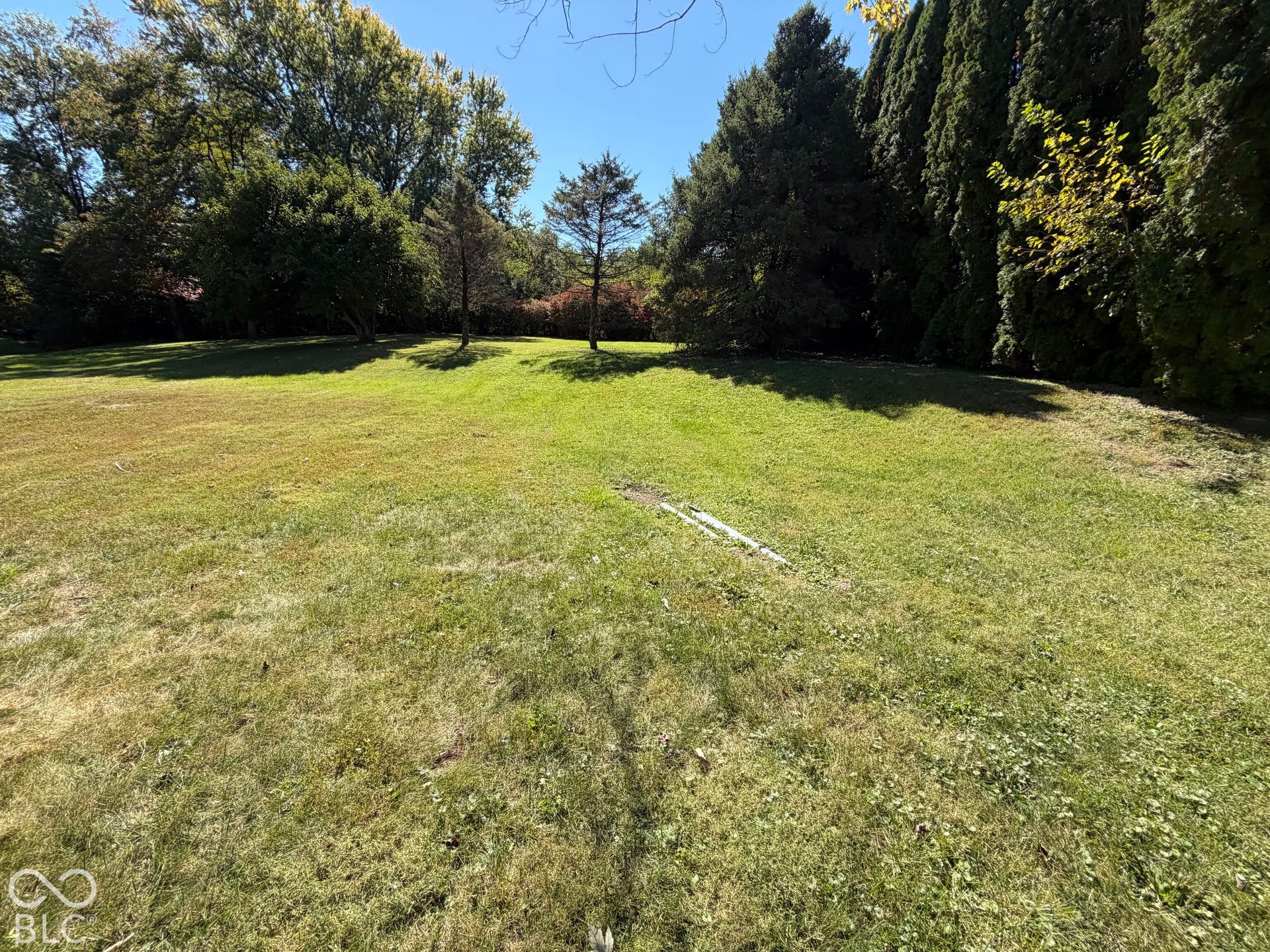 Expansive grassy area surrounded by mature trees and shrubs