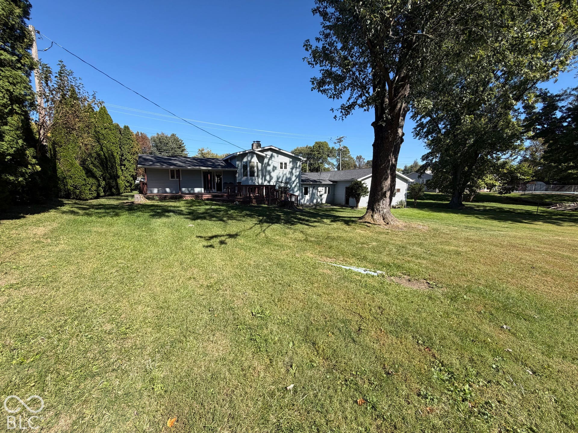 Expansive rear lawn with mature trees and established perimeter landscaping