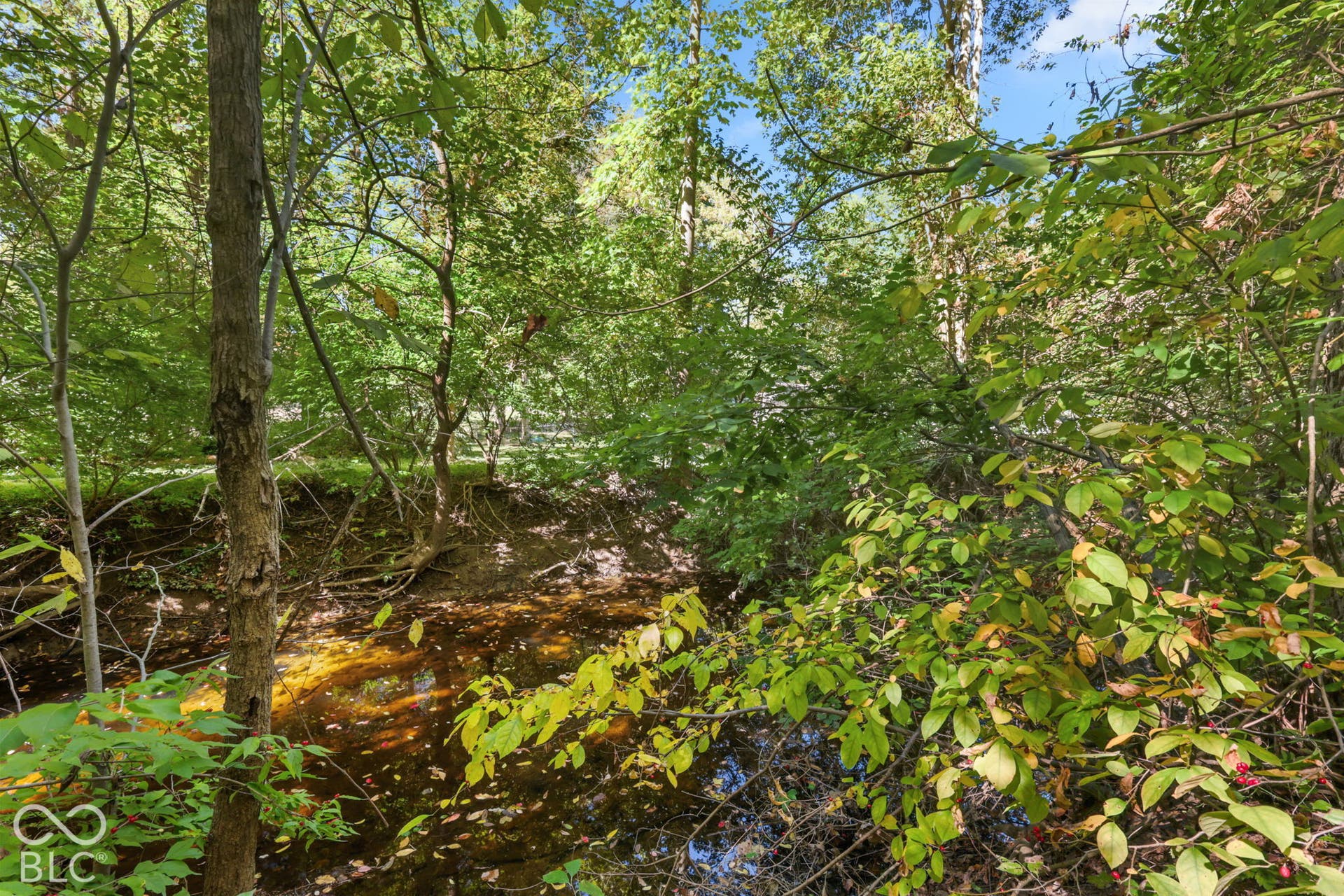4238 S Carrie Drive, New Palestine, IN 46163