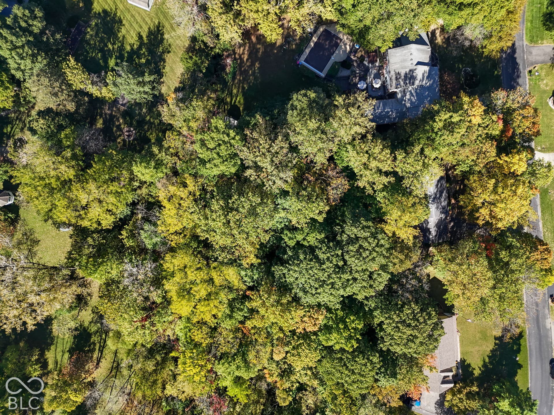 4238 S Carrie Drive, New Palestine, IN 46163