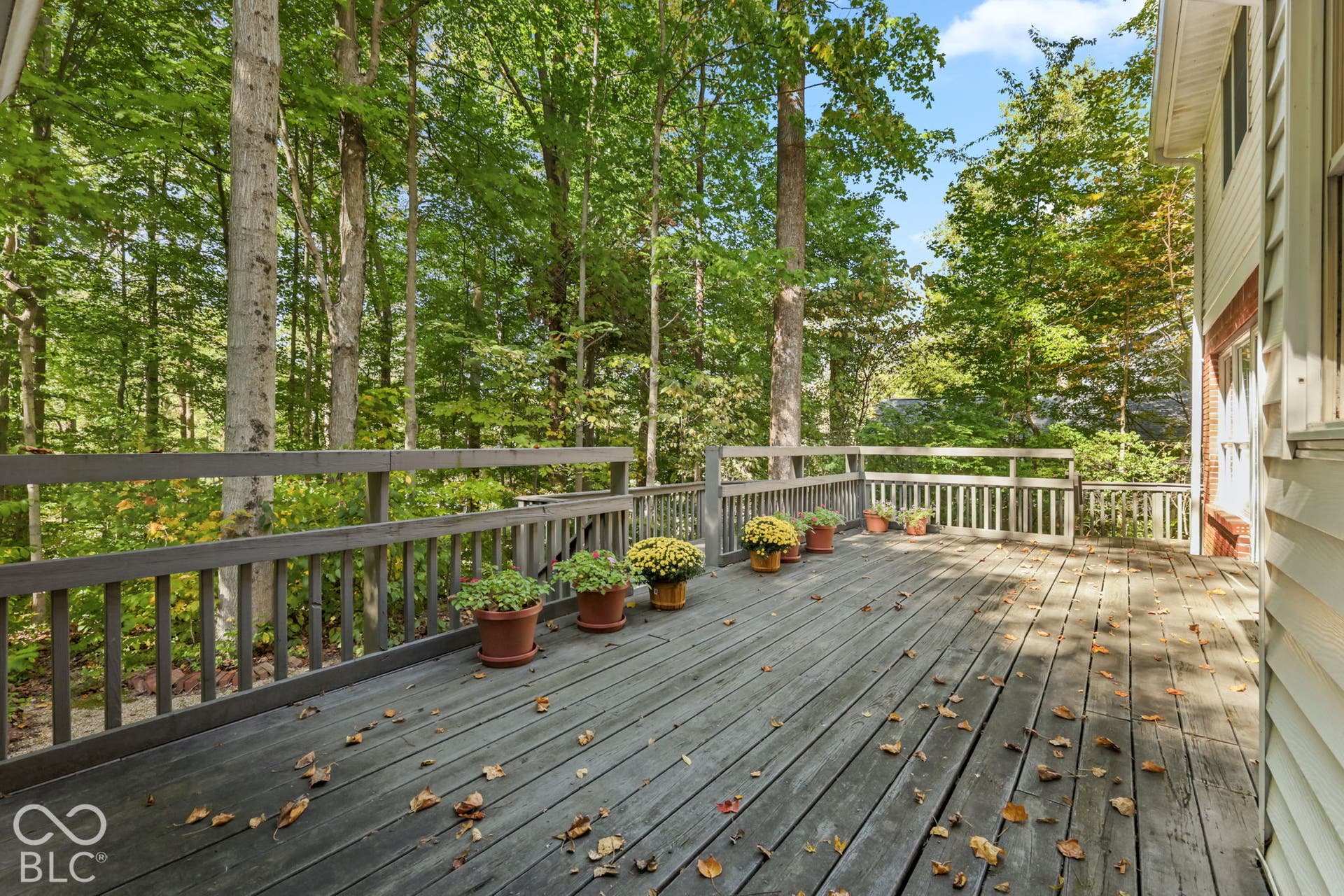 4238 S Carrie Drive, New Palestine, IN 46163