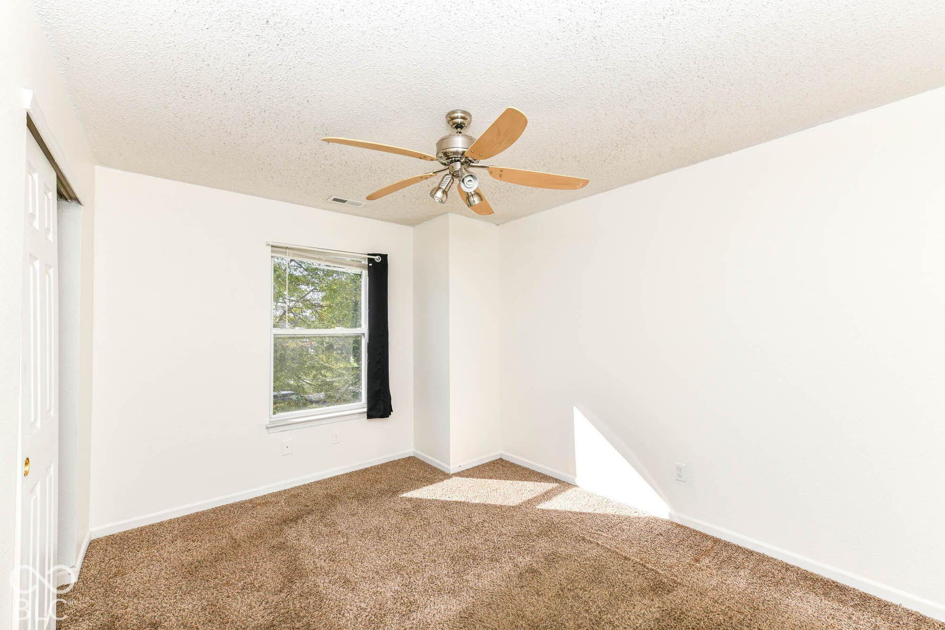 Neutral wall paint, textured ceiling, ceiling fan with light fixture, carpeted flooring, and a double-hung window