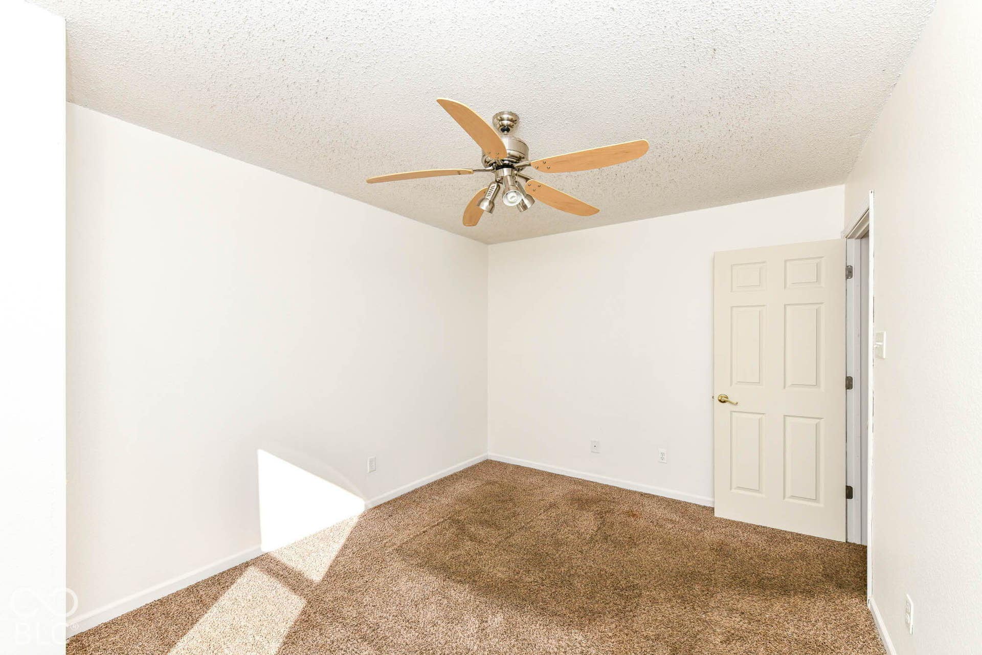 Neutral wall paint and brown carpet flooring