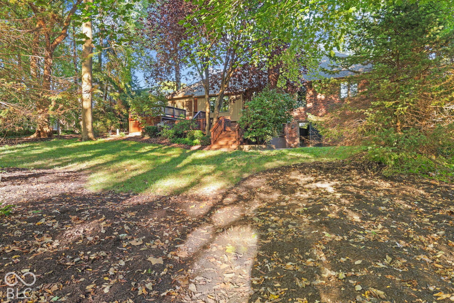 Wooded Backyard