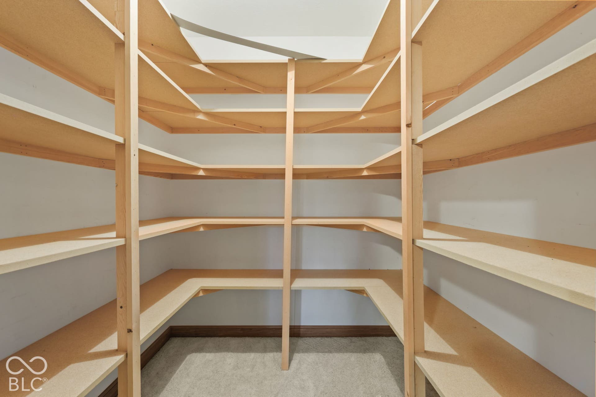 Basement Storage Closet