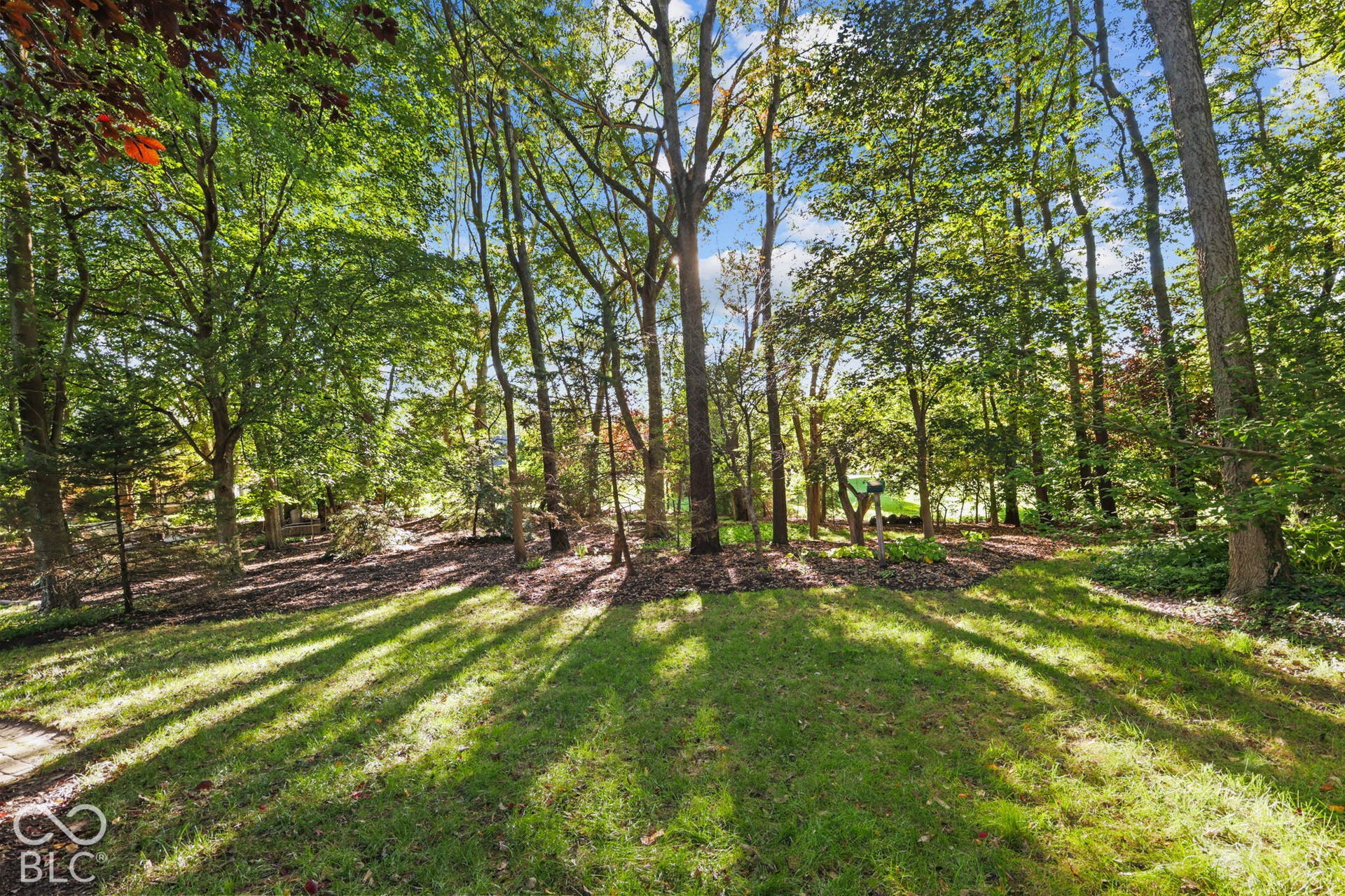 Beautifully Wooded Lot