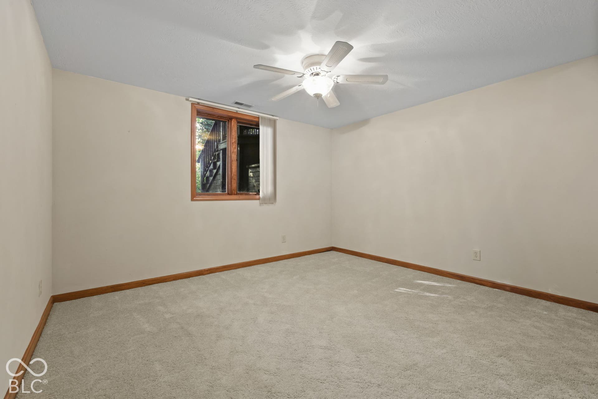 Bedroom #4 in Basement