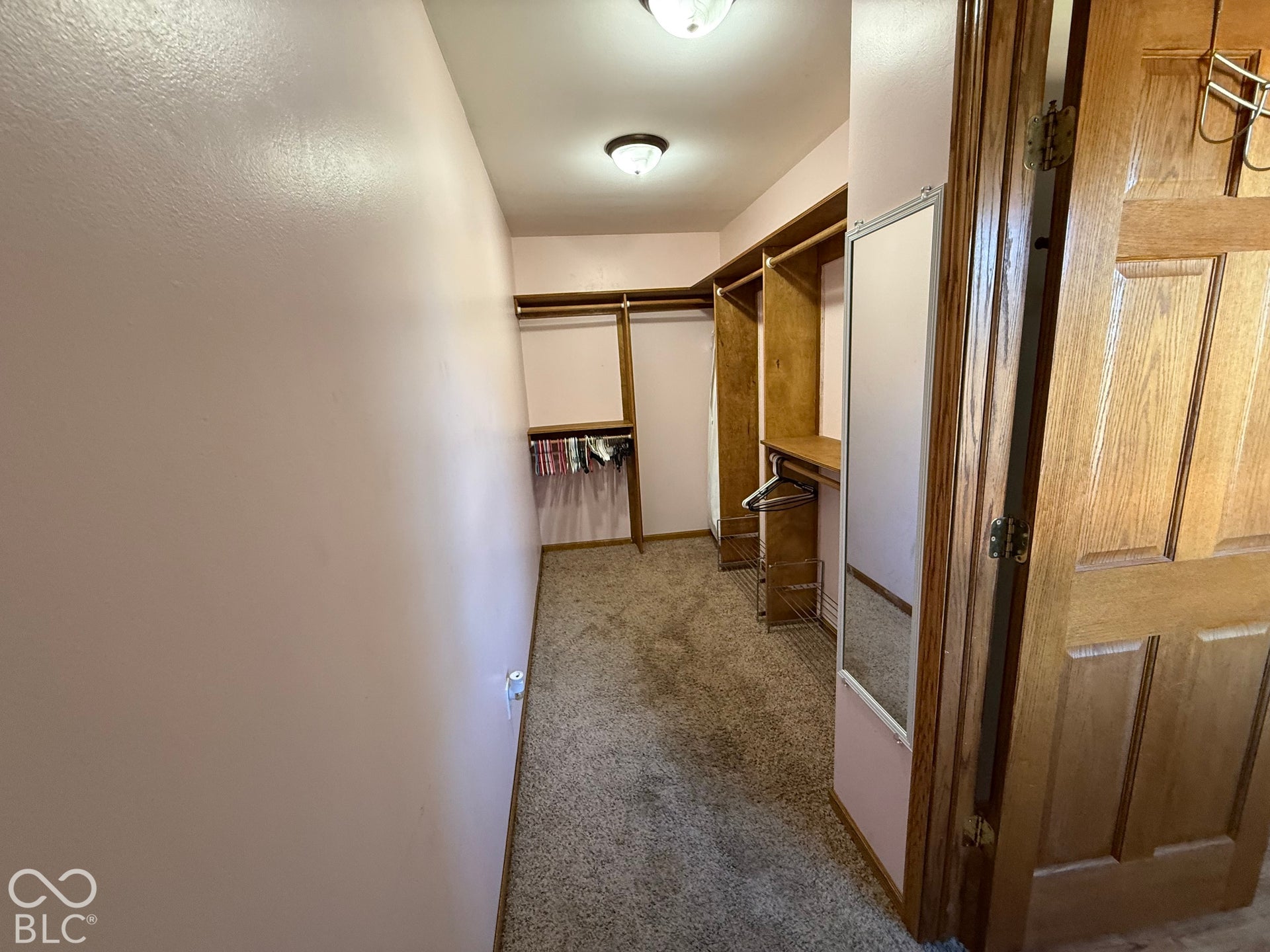 Walk-in closet featuring carpeted flooring, wood-finish shelving, and built-in mirrored panels