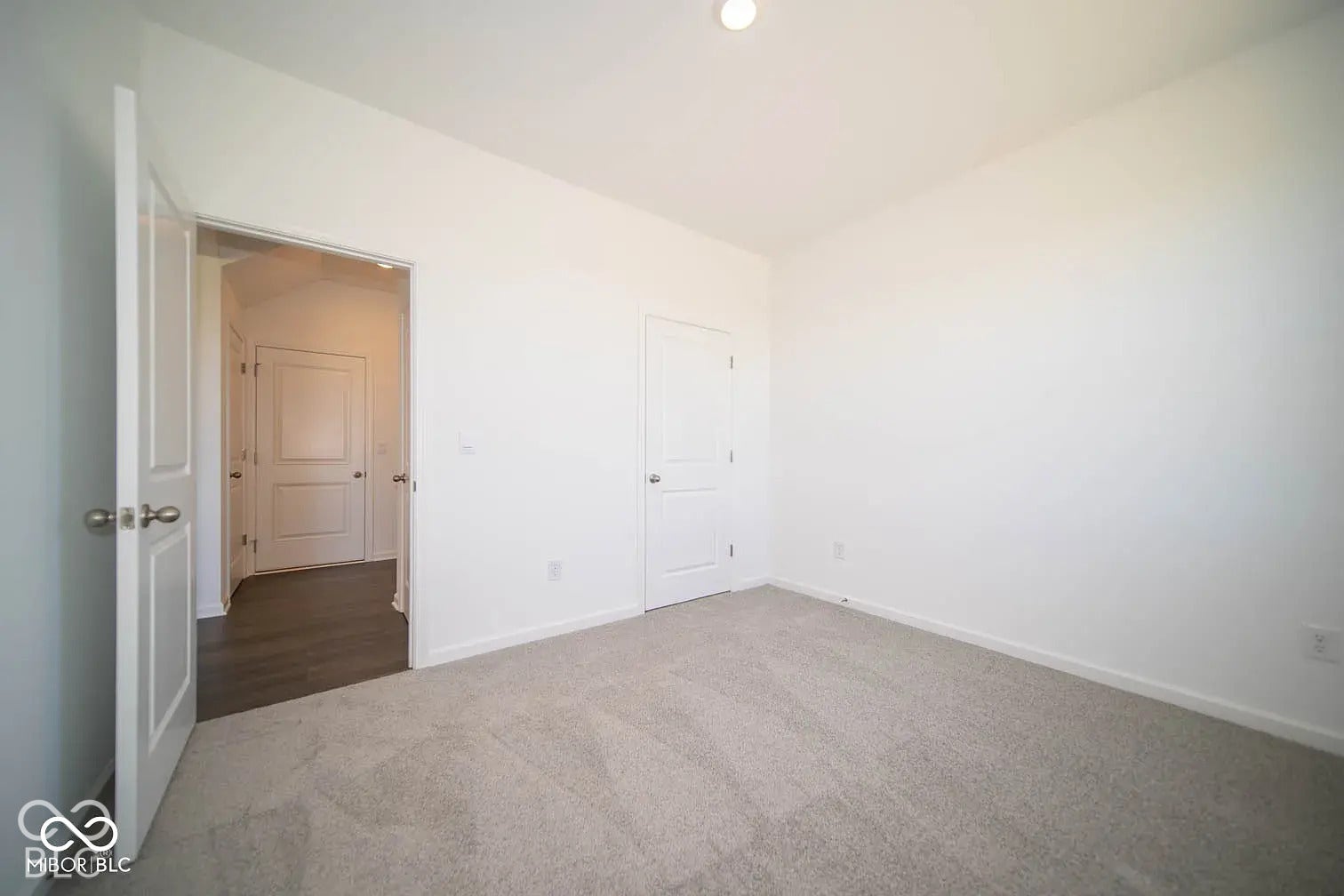 5778 Aleppo Lane, Greenwood, IN 46143 Neutral-toned carpeting, white walls, and a visible ceiling light fixture