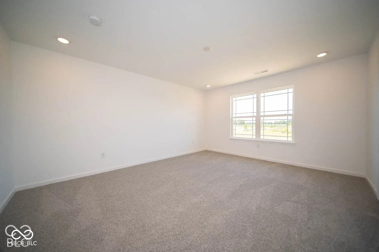 5778 Aleppo Lane, Greenwood, IN 46143 Recessed ceiling lighting, white walls, light gray carpet flooring, and white window frames