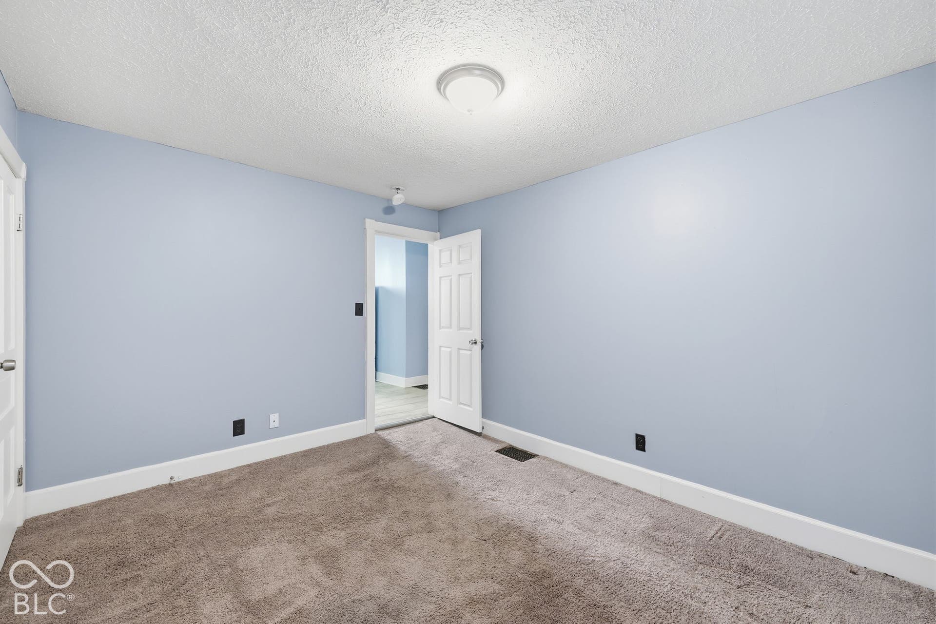 Plush carpeting, light blue wall paint, white trim, and a ceiling-mounted light fixture