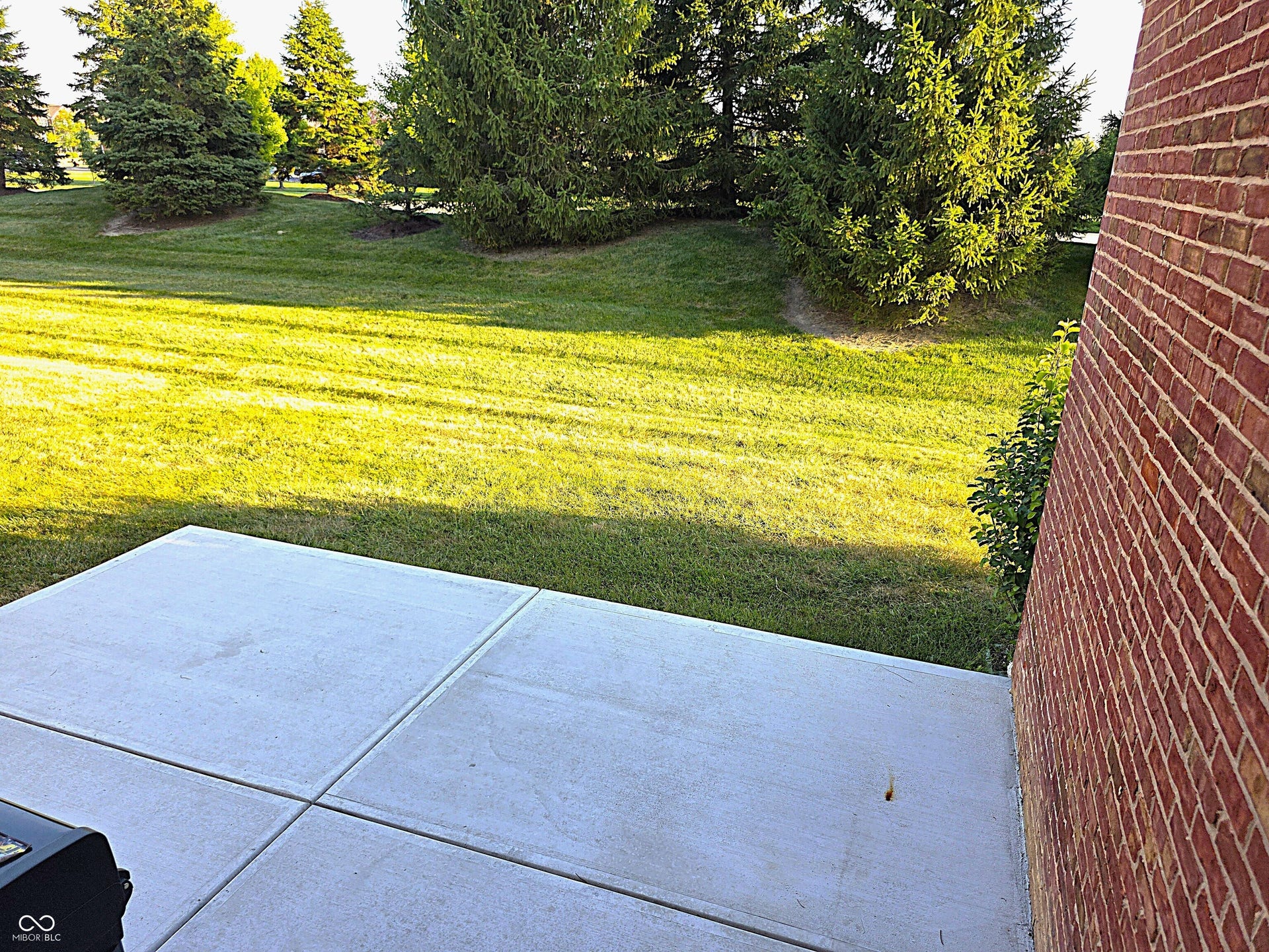 Expansive lawn area with mature evergreen trees, complemented by a brick exterior wall and a concrete patio