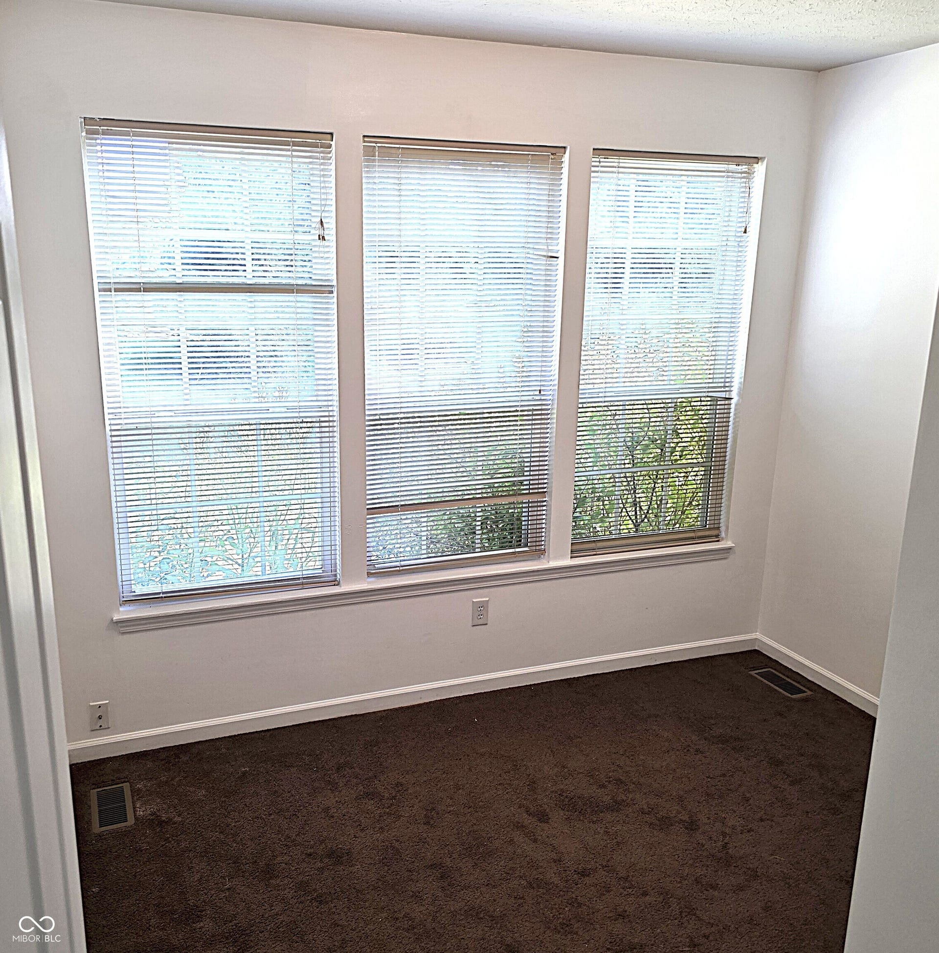 Room featuring three large windows with blinds, white trim, and brown carpet
