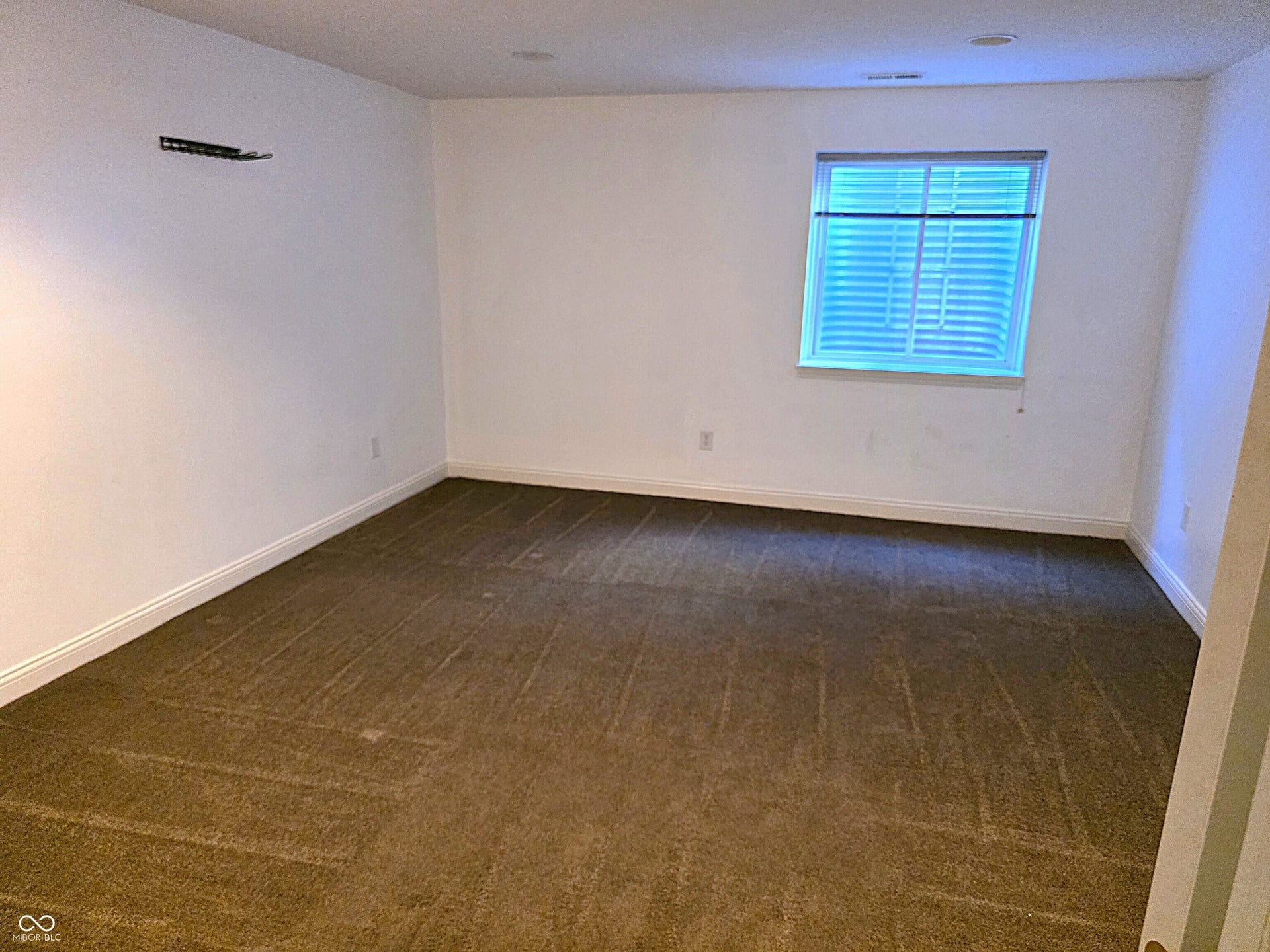 Basement bedroom with closet